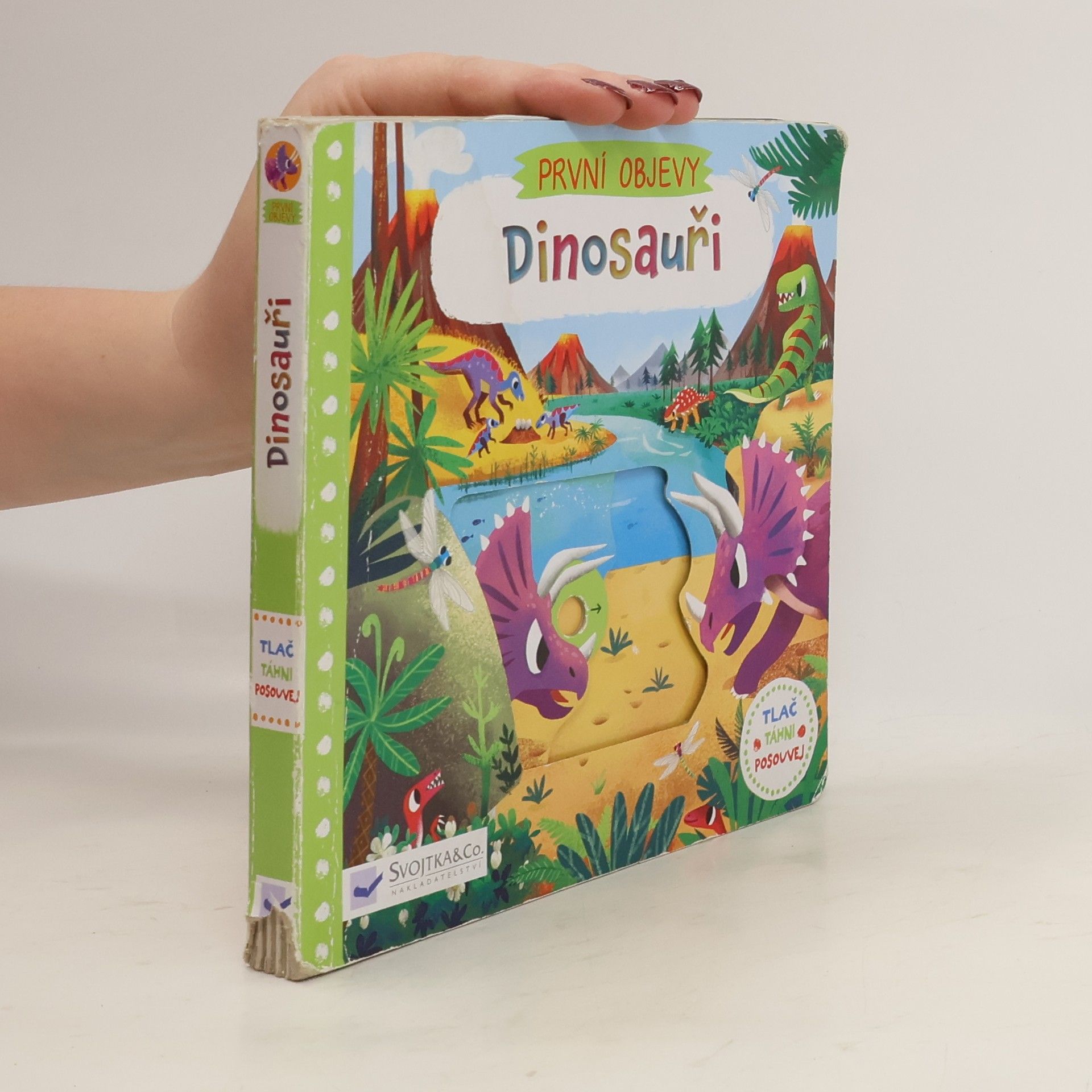 Chorkung Dinosauři