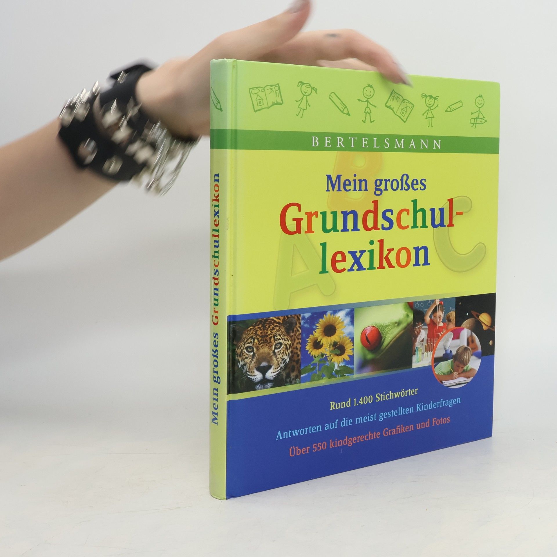 Anke Braun Mein großes Grundschullexikon
