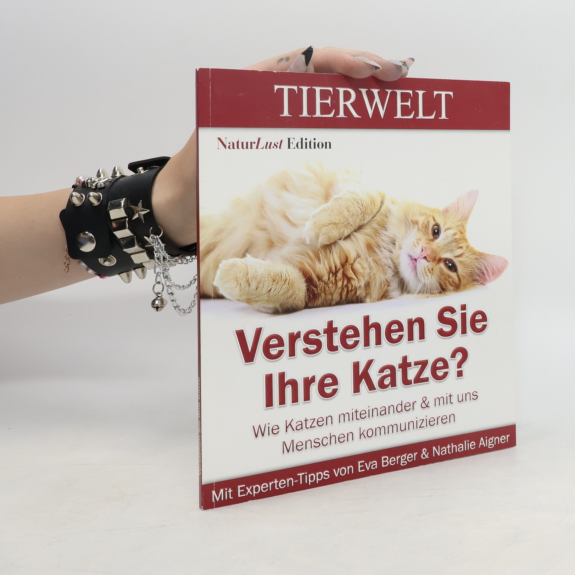 Autorenkollektiv Verstehen Sie Ihre Katze?