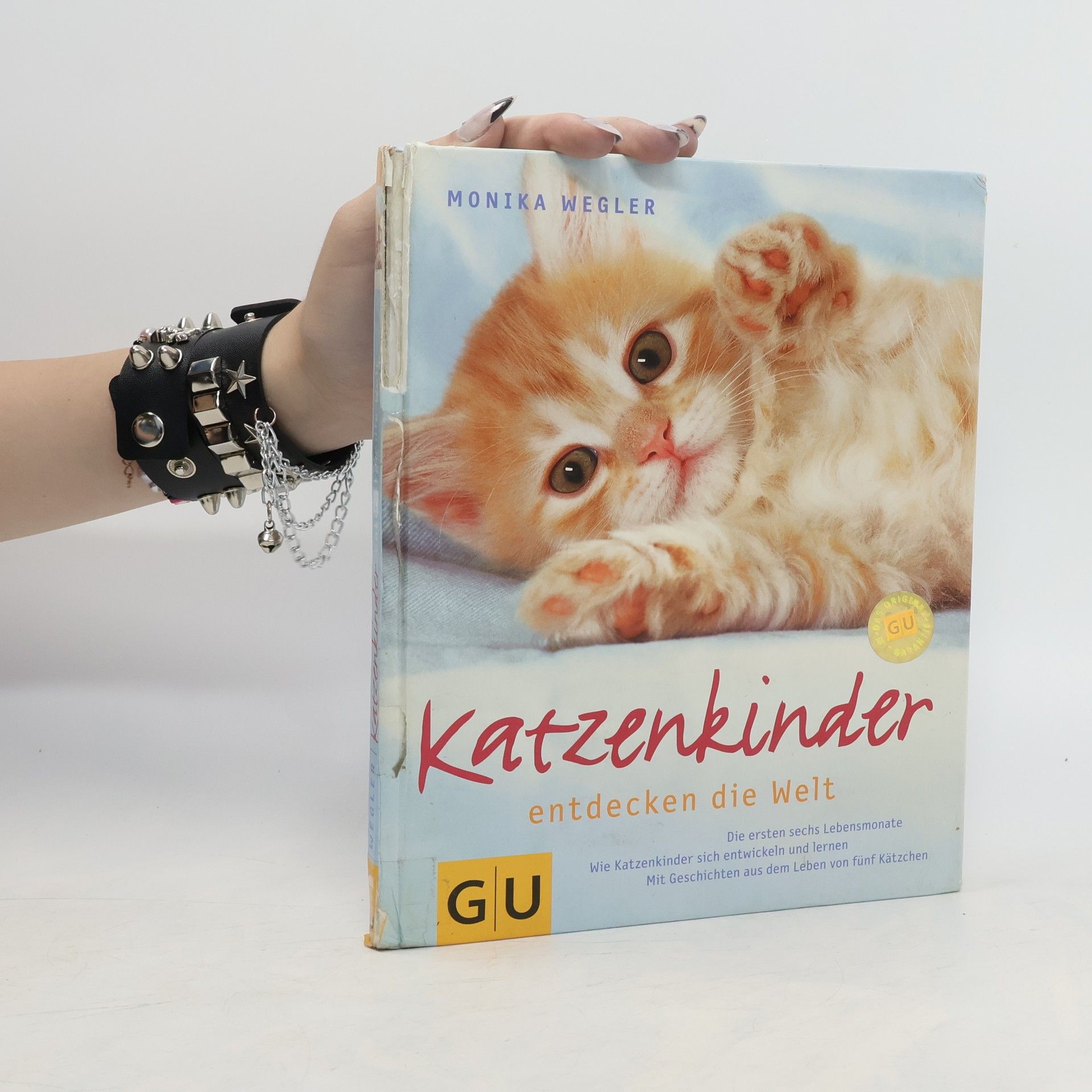 Monika Wegler Katzenkinder entdecken die Welt