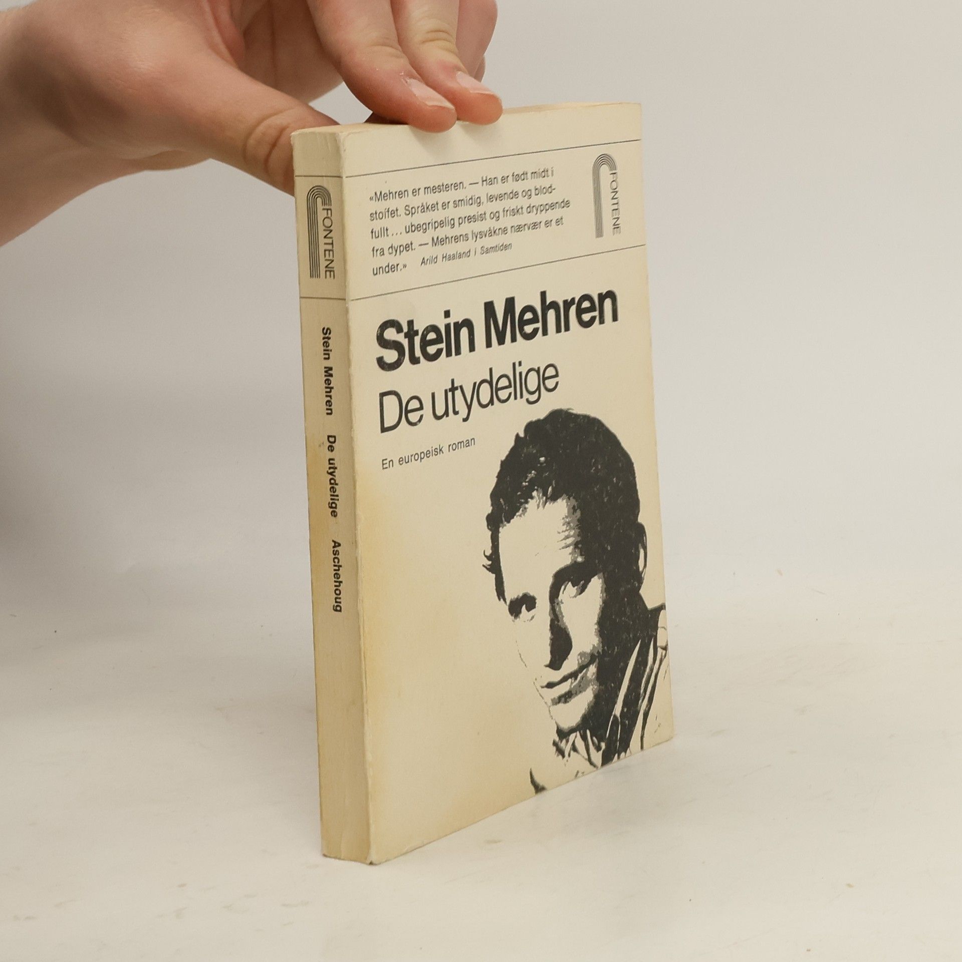 Stein Mehren De utydelige