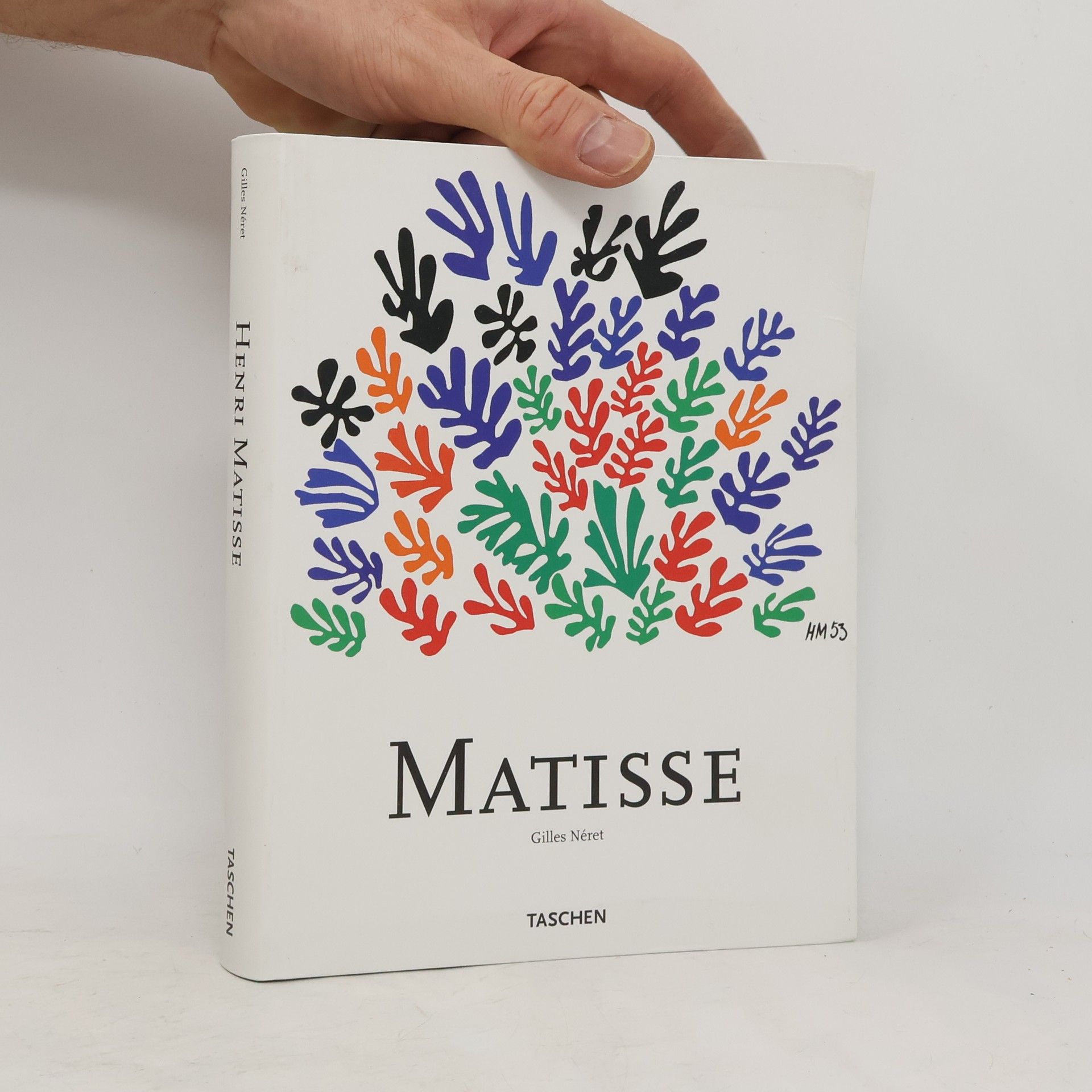 Gilles Néret Mattise