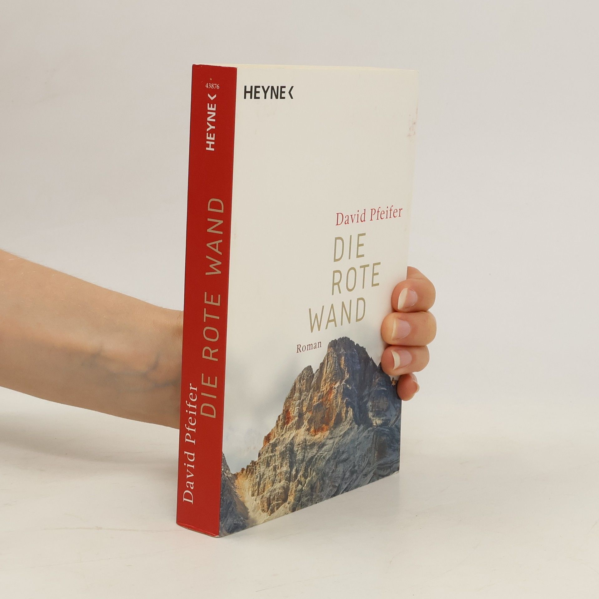 David Pfeifer Die Rote Wand