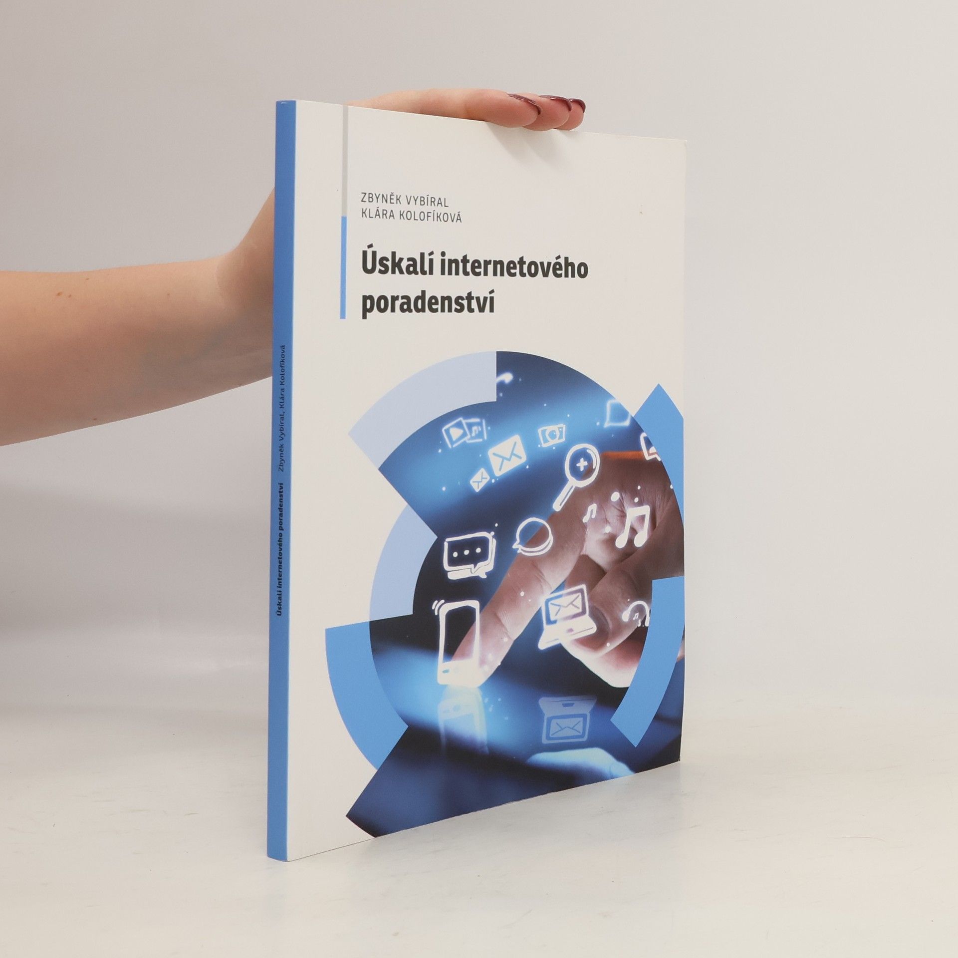 Zbyněk Vybíral Úskalí internetového poradenství