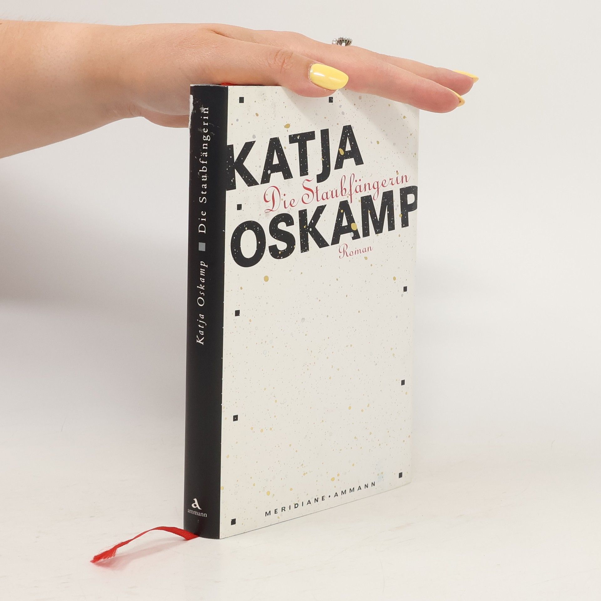 Katja Oskamp Die Staubfängerin