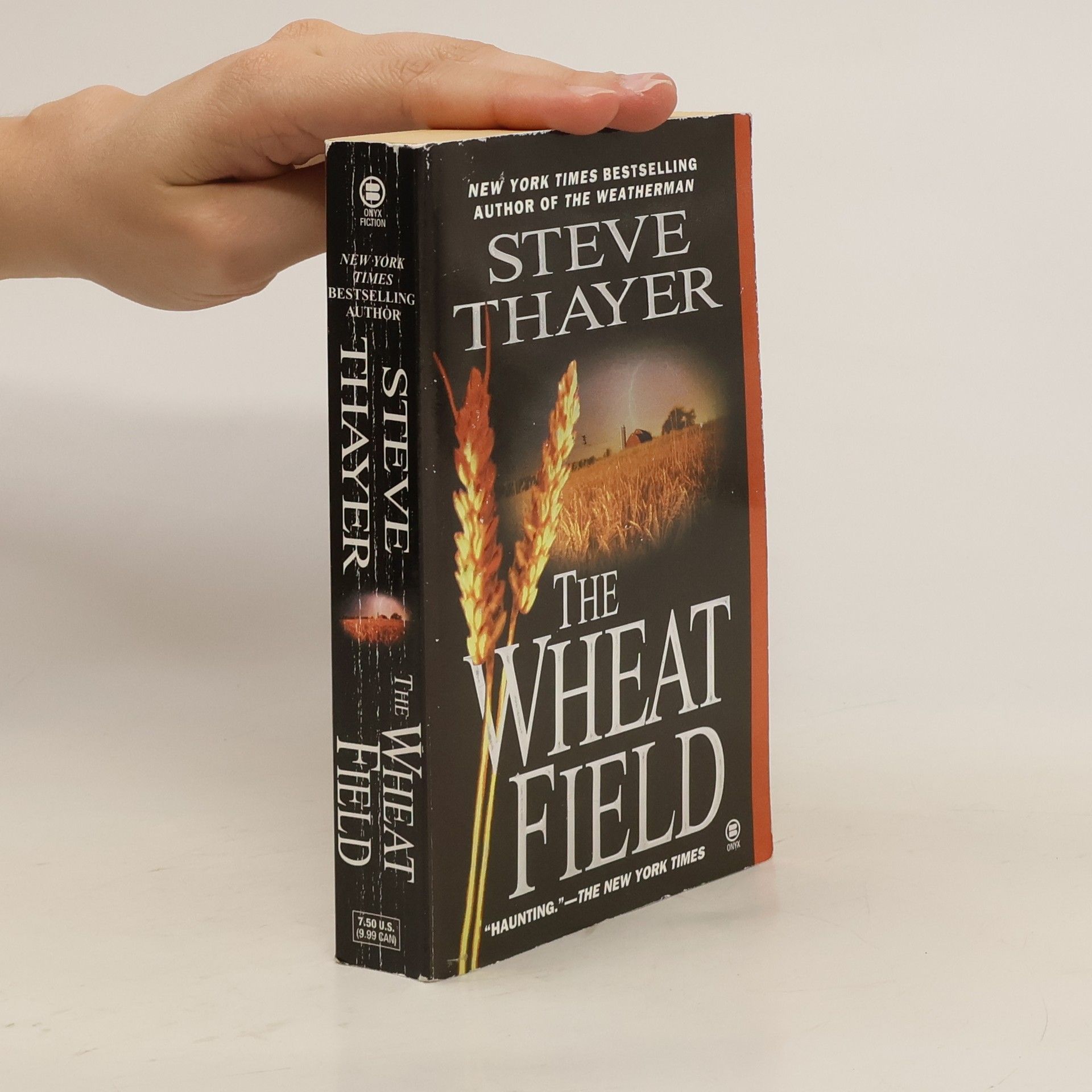 Steve Thayer The Wheat Field