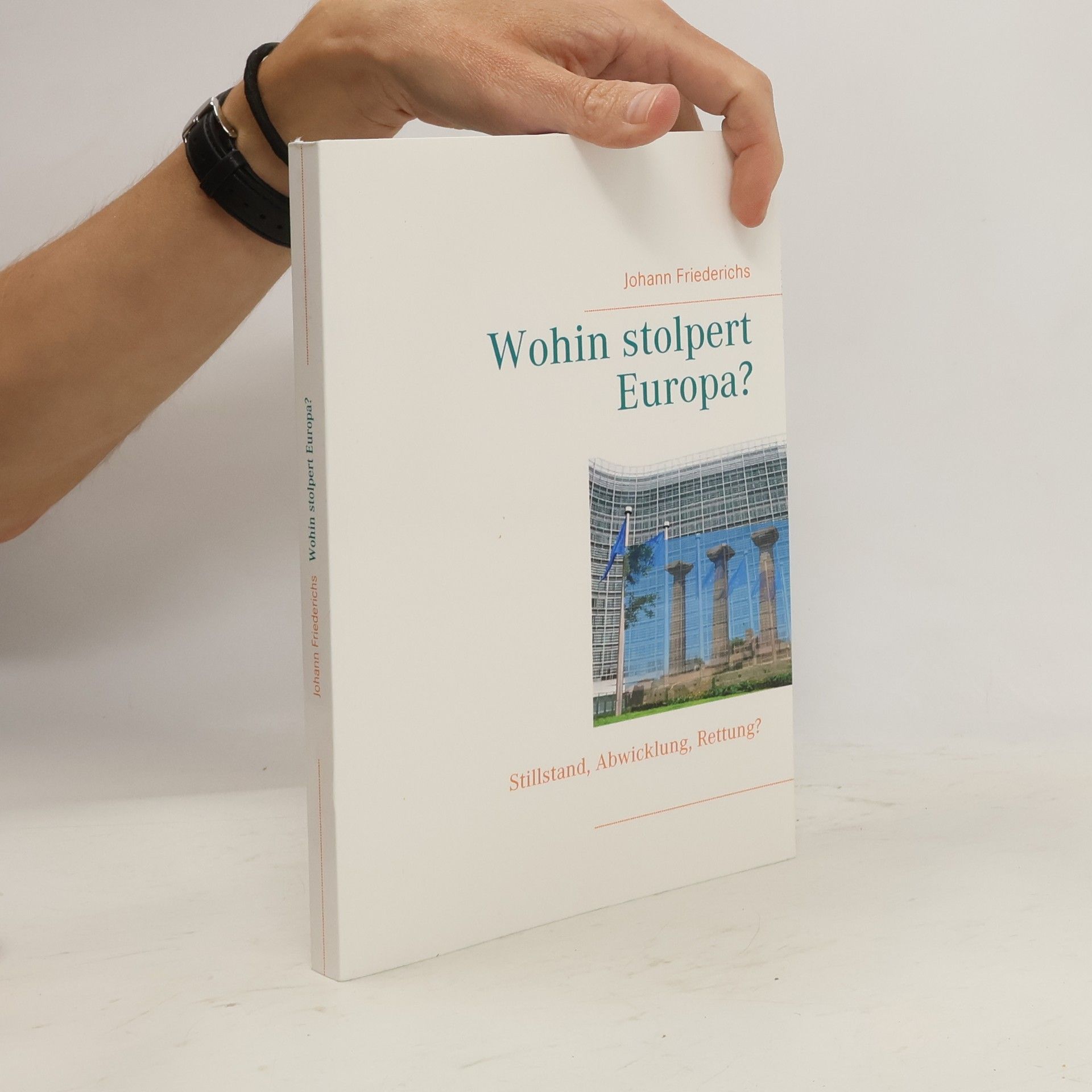 Johann Friederichs Wohin stolpert Europa?
