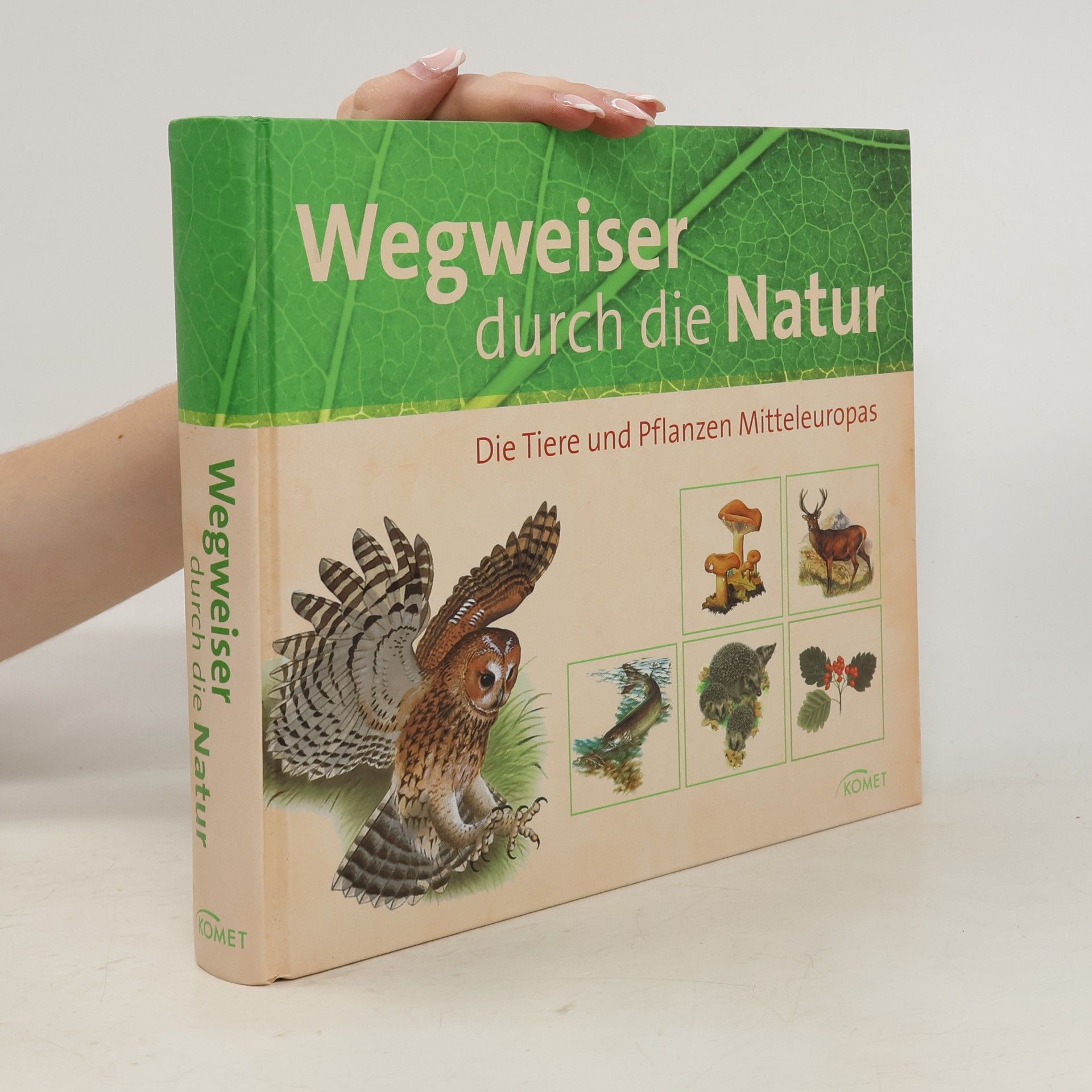 Autorenkollektiv Wegweiser durch die Natur