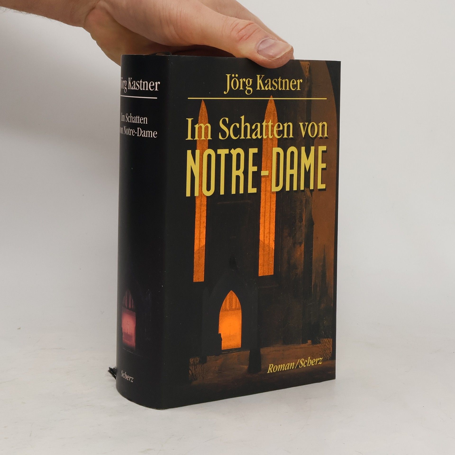 Joerg Kastner Im Schatten von Notre-Dame