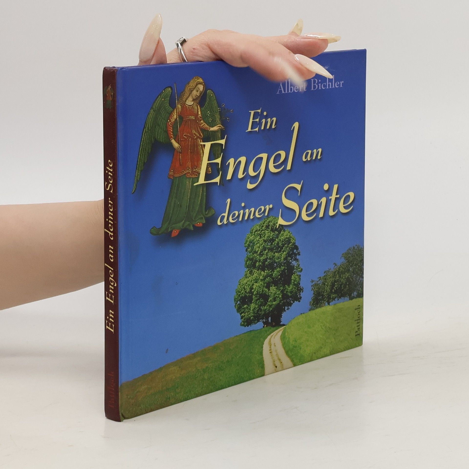 AA.VV. Ein Engel an deiner Seite