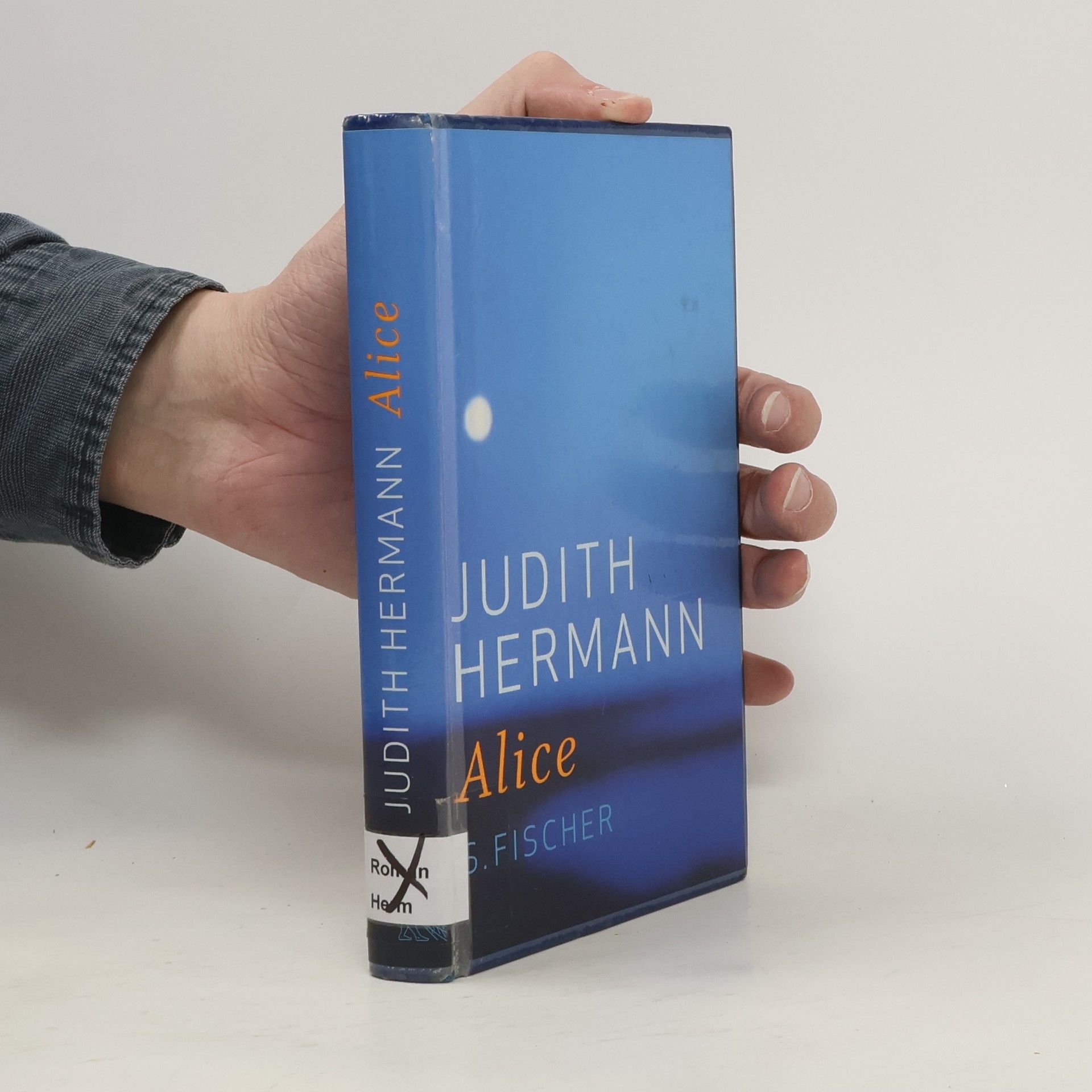 Judith Hermann Alice