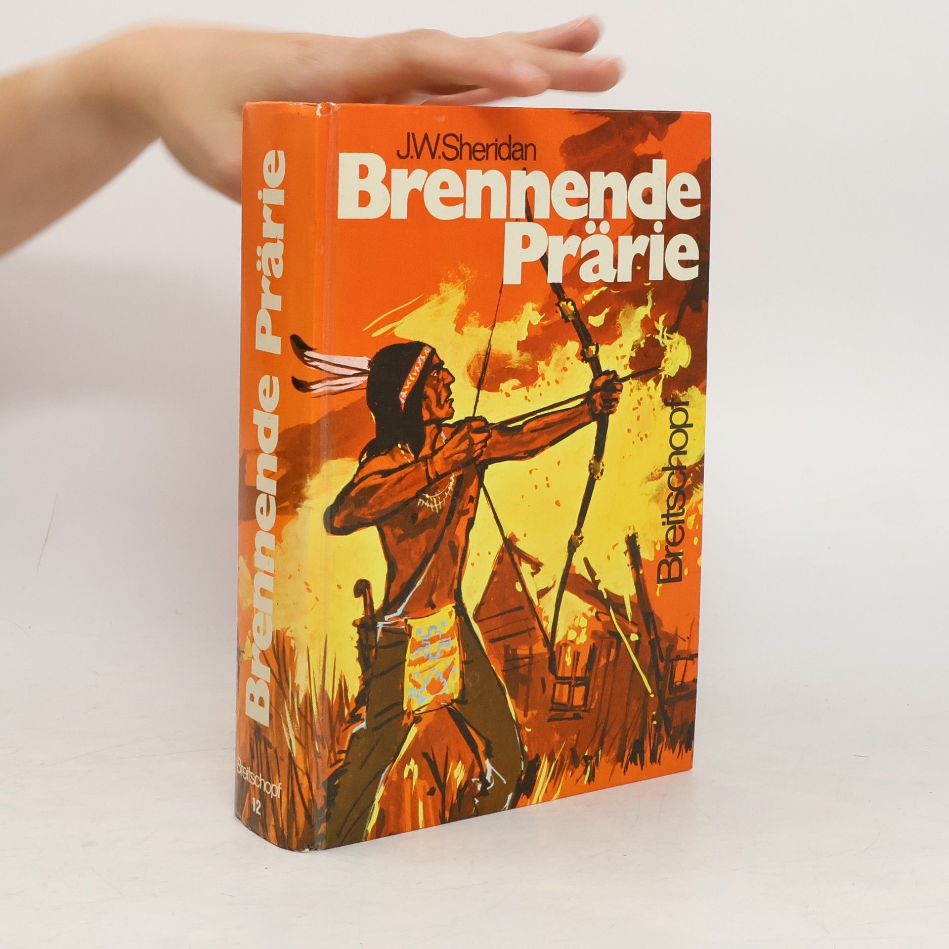 Sheridan Williams Brennende Prärie