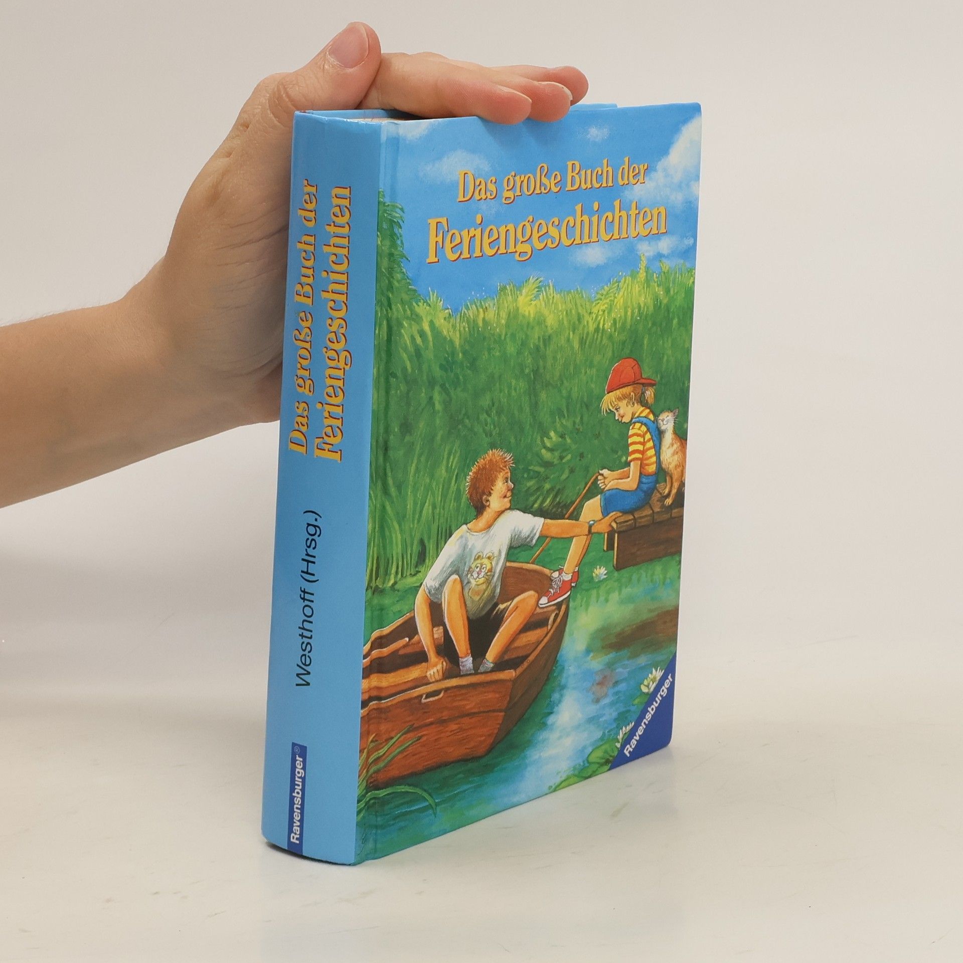kolektiv Das große Buch der Feriengeschichten