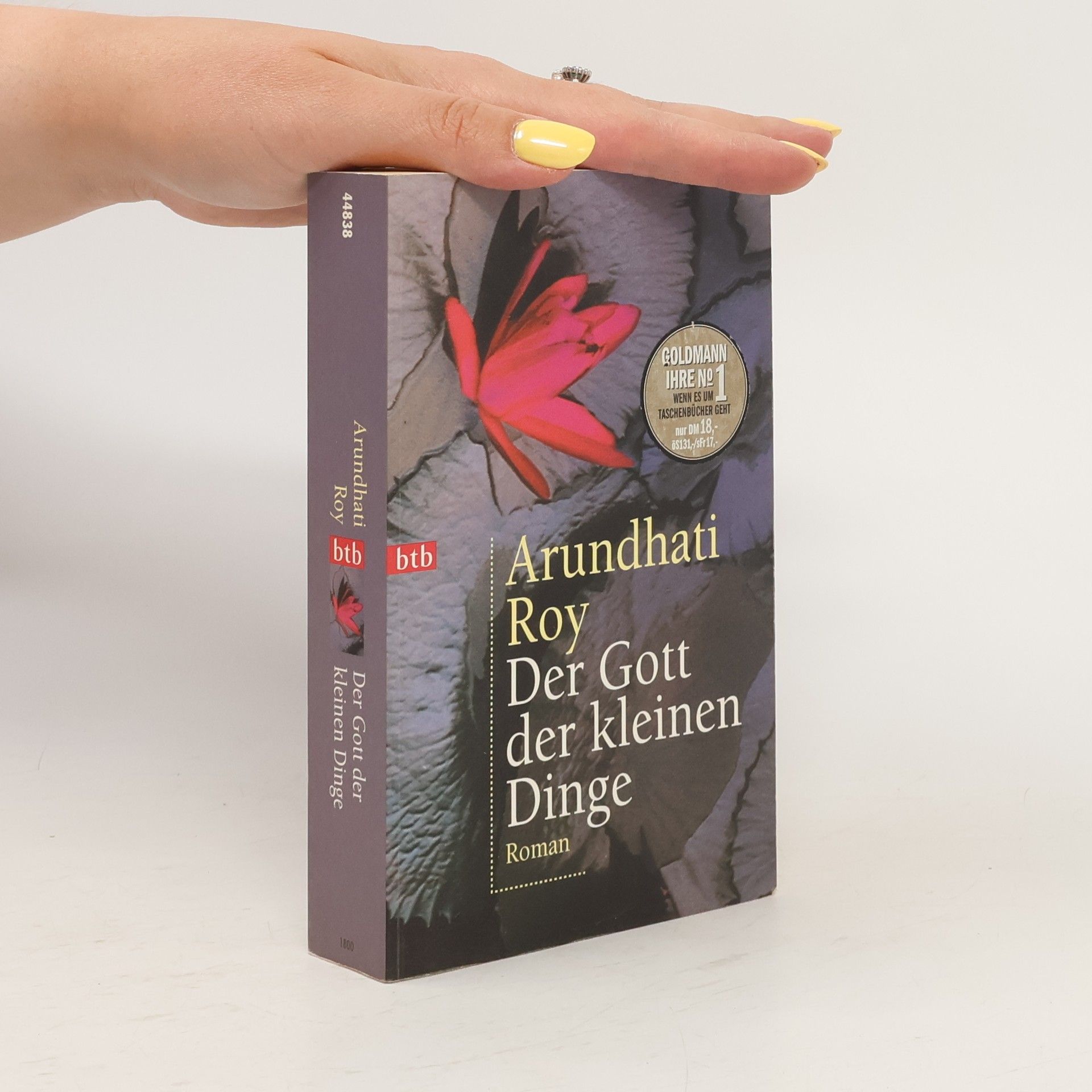 Arundhati Roy Der Gott der kleinen Dinge