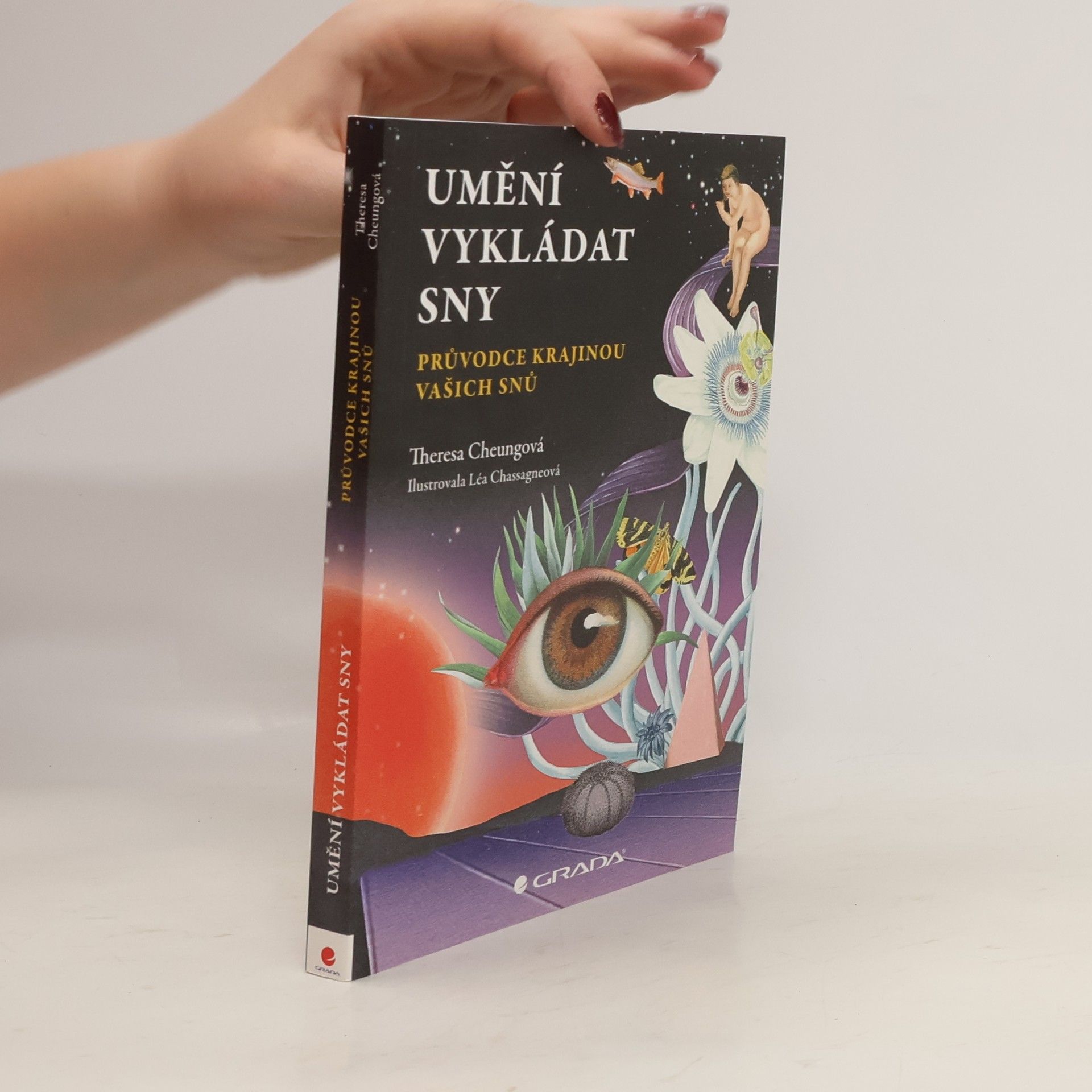 Theresa Francis-Cheung Umění vykládat sny: průvodce krajinou vašich snů