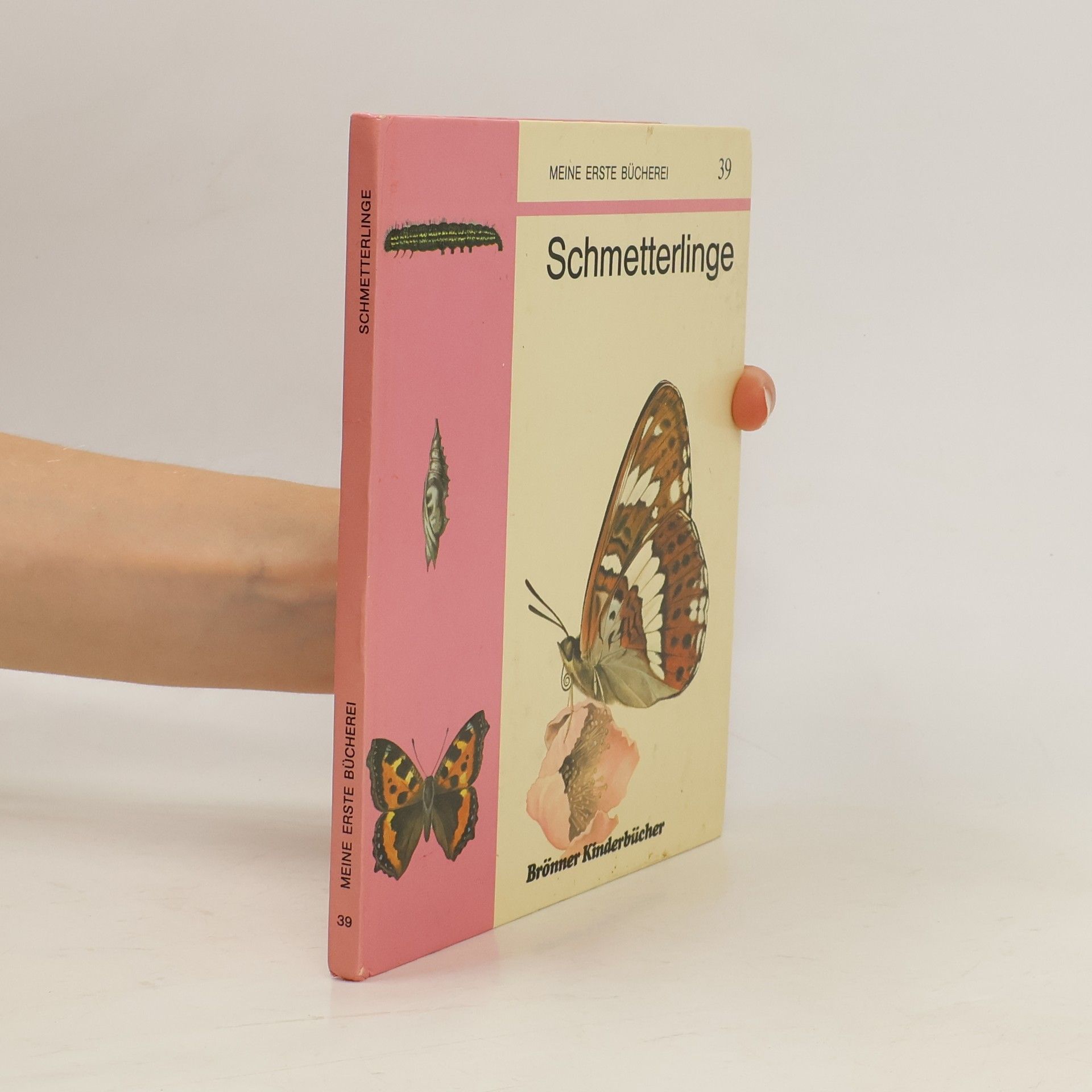Collectif d'auteurs Schmetterlinge