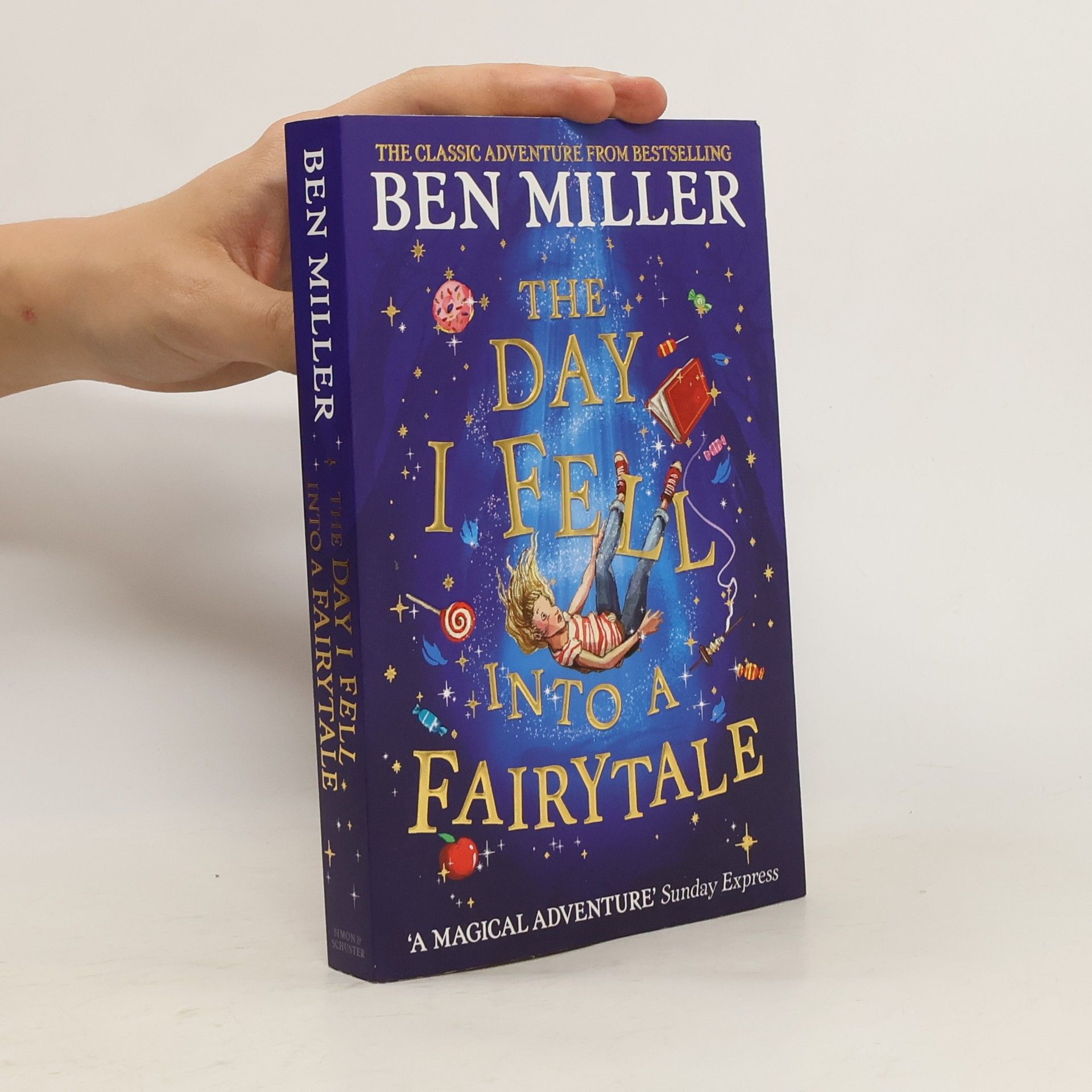 Ben Miller The Day I Fell Into a Fairytale