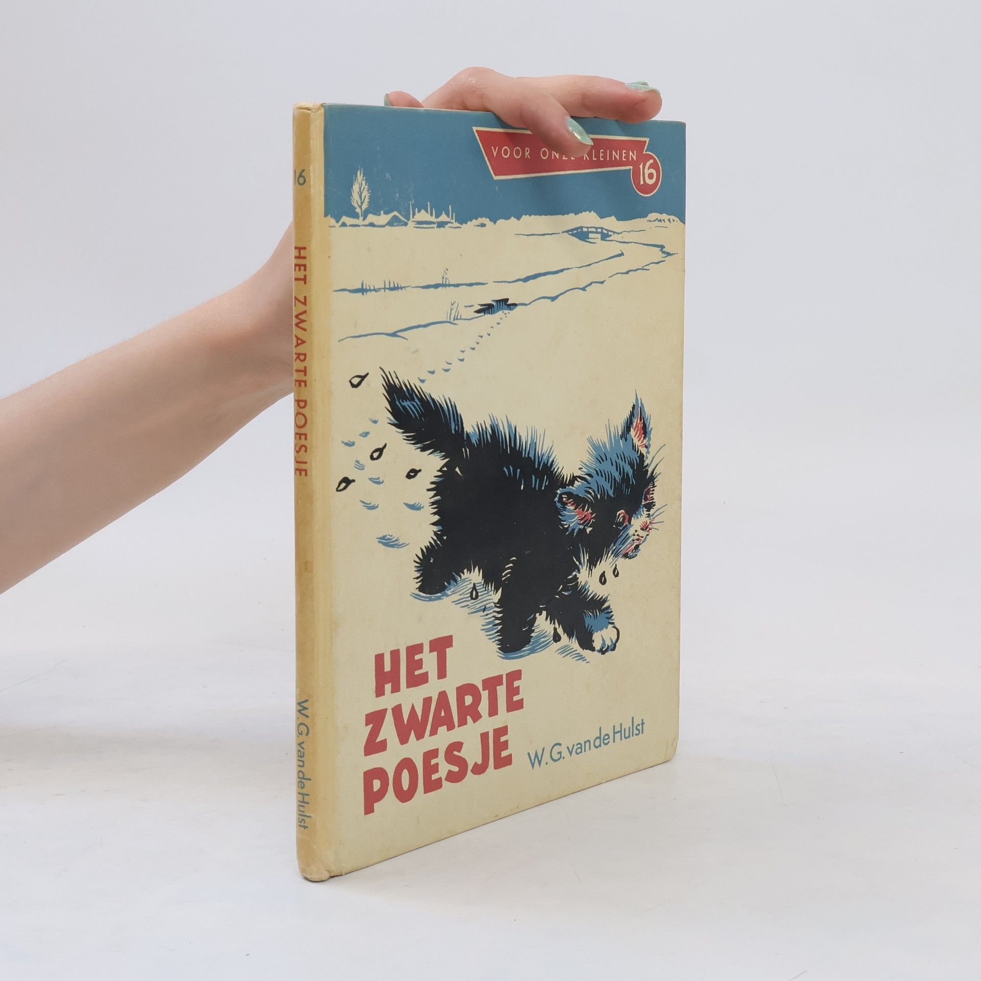 W. G. Van De Hulst Het zwarte poesje