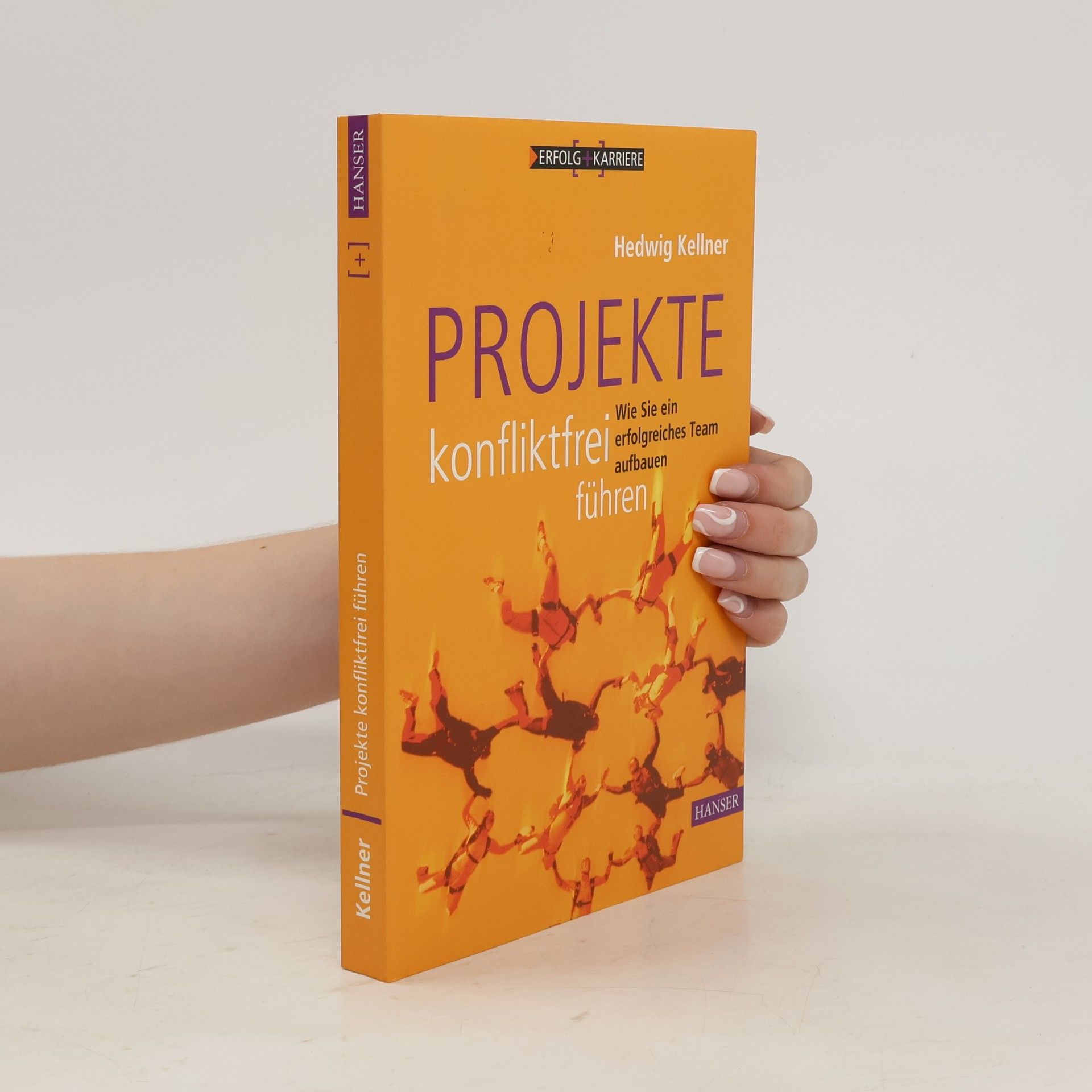 Hedwig Kellner Projekte konfliktfrei führen