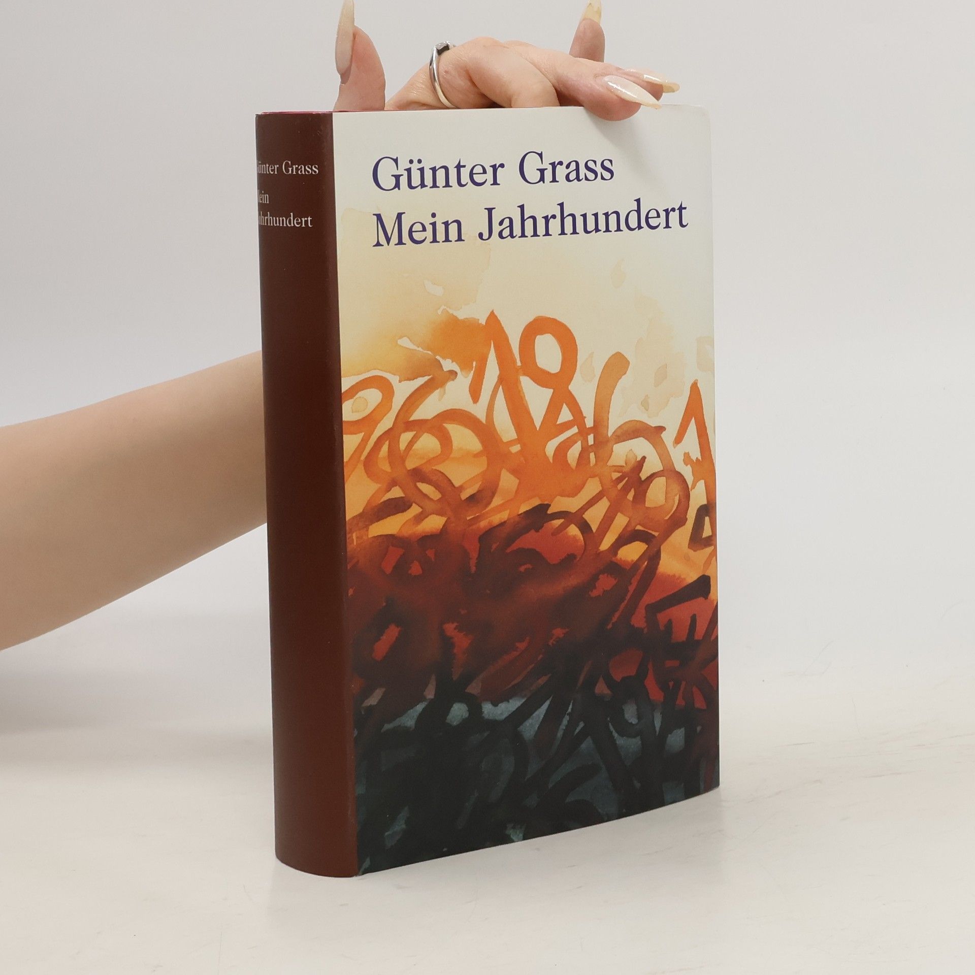 Günter Grass Mein Jahrhundertbuch