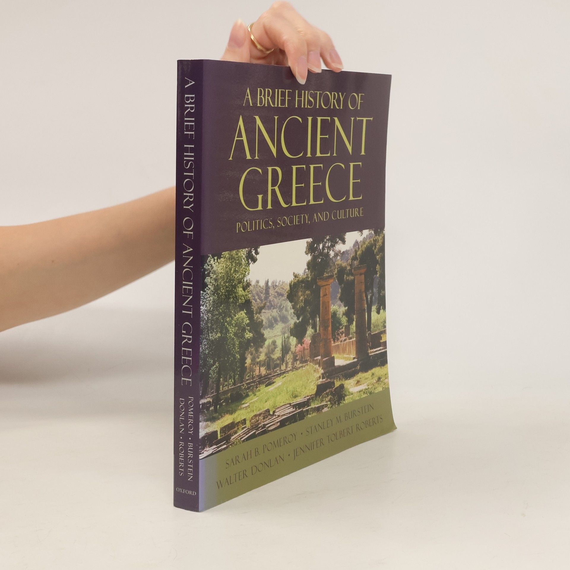 Kolektiv autorů A Brief History of Ancient Greece