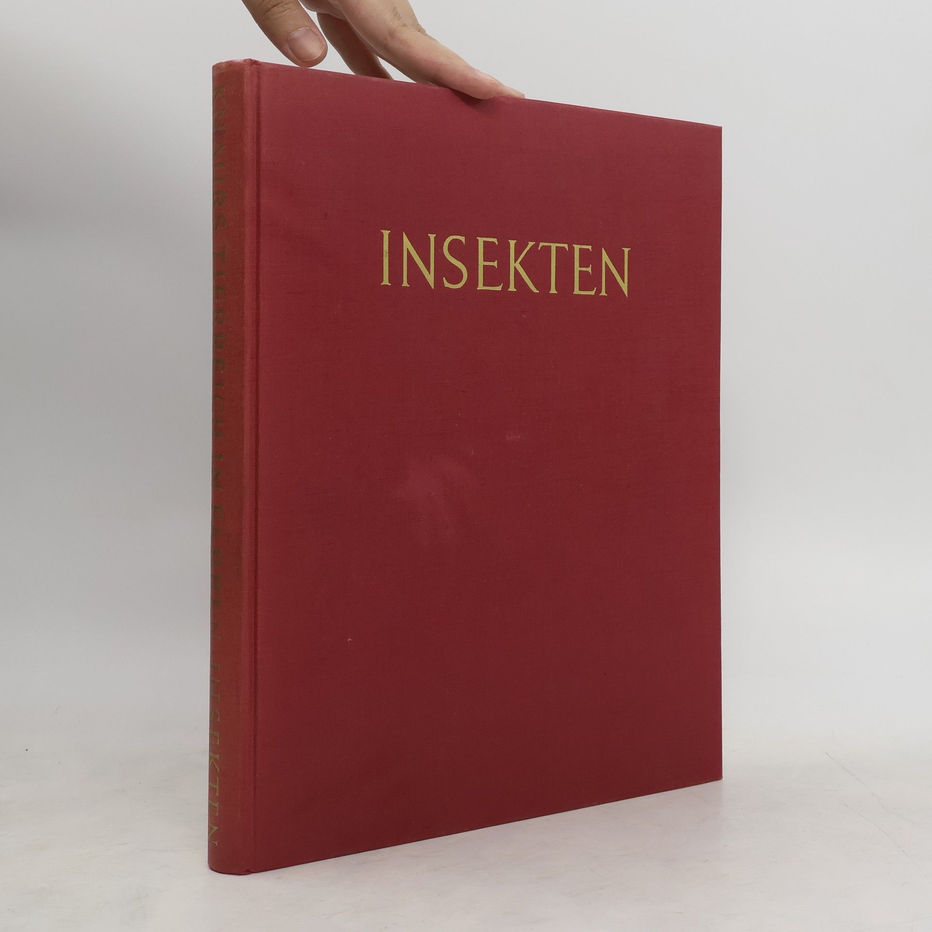 Collective Insekten