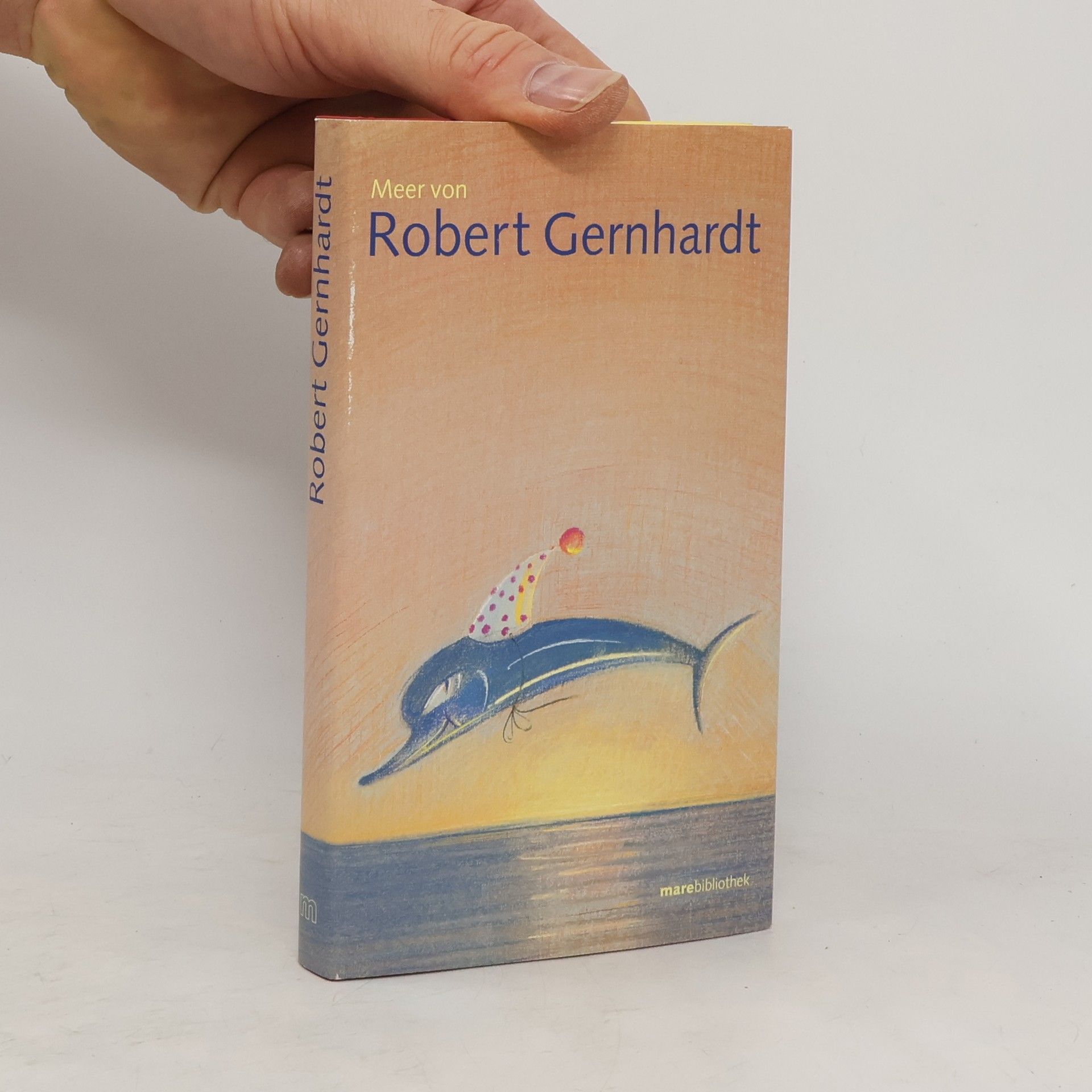 Robert Gernhardt Meer