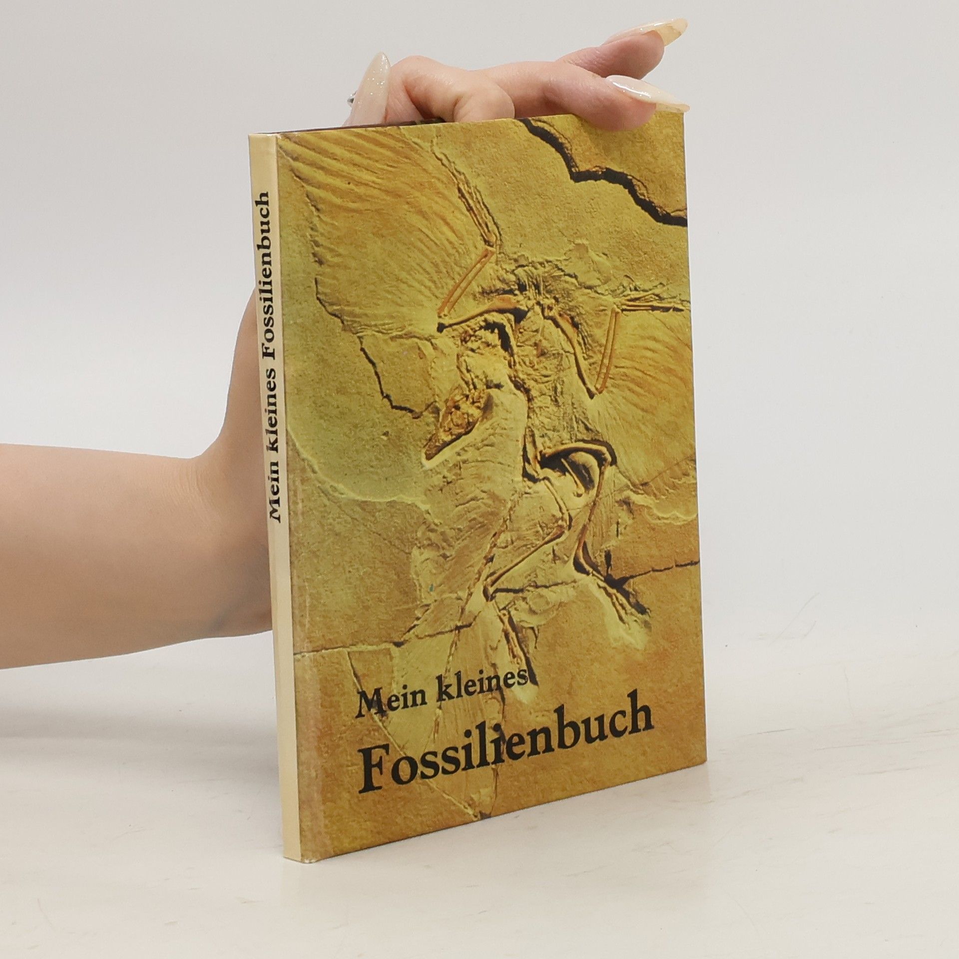 Rudolf Daber Mein kleines Fossilienbuch