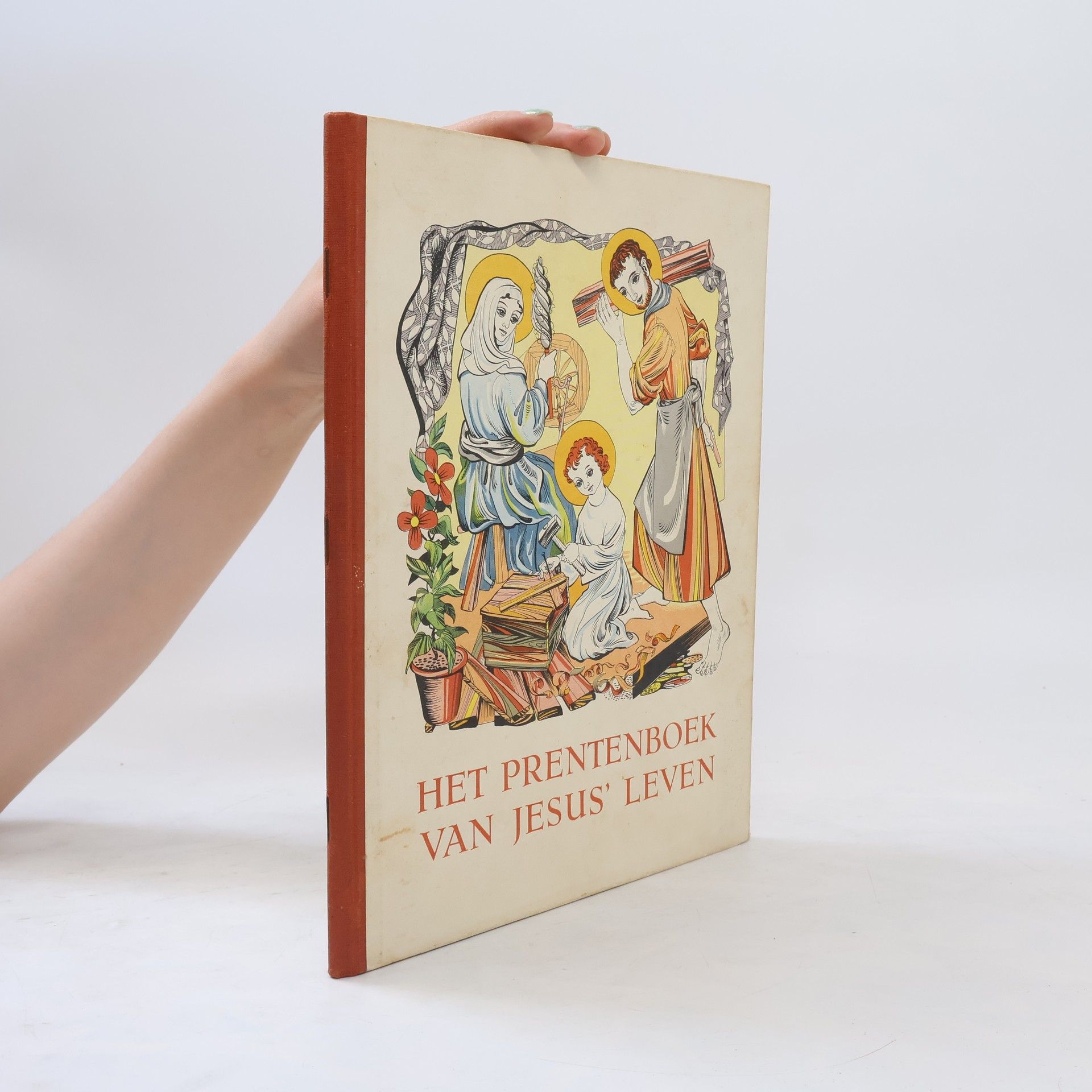 Hub. Levigne Het prentenboek van Jezus' leven