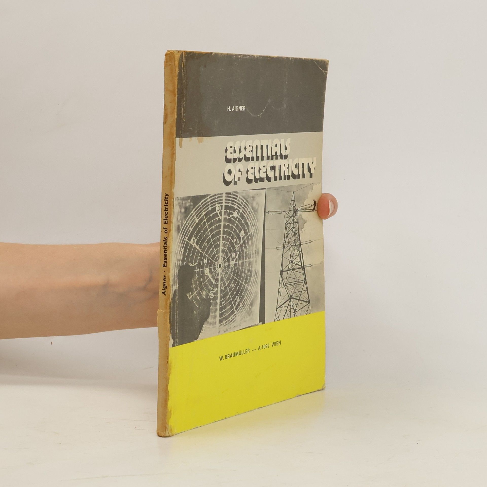 Helmut Aigner Essentials of Electricity