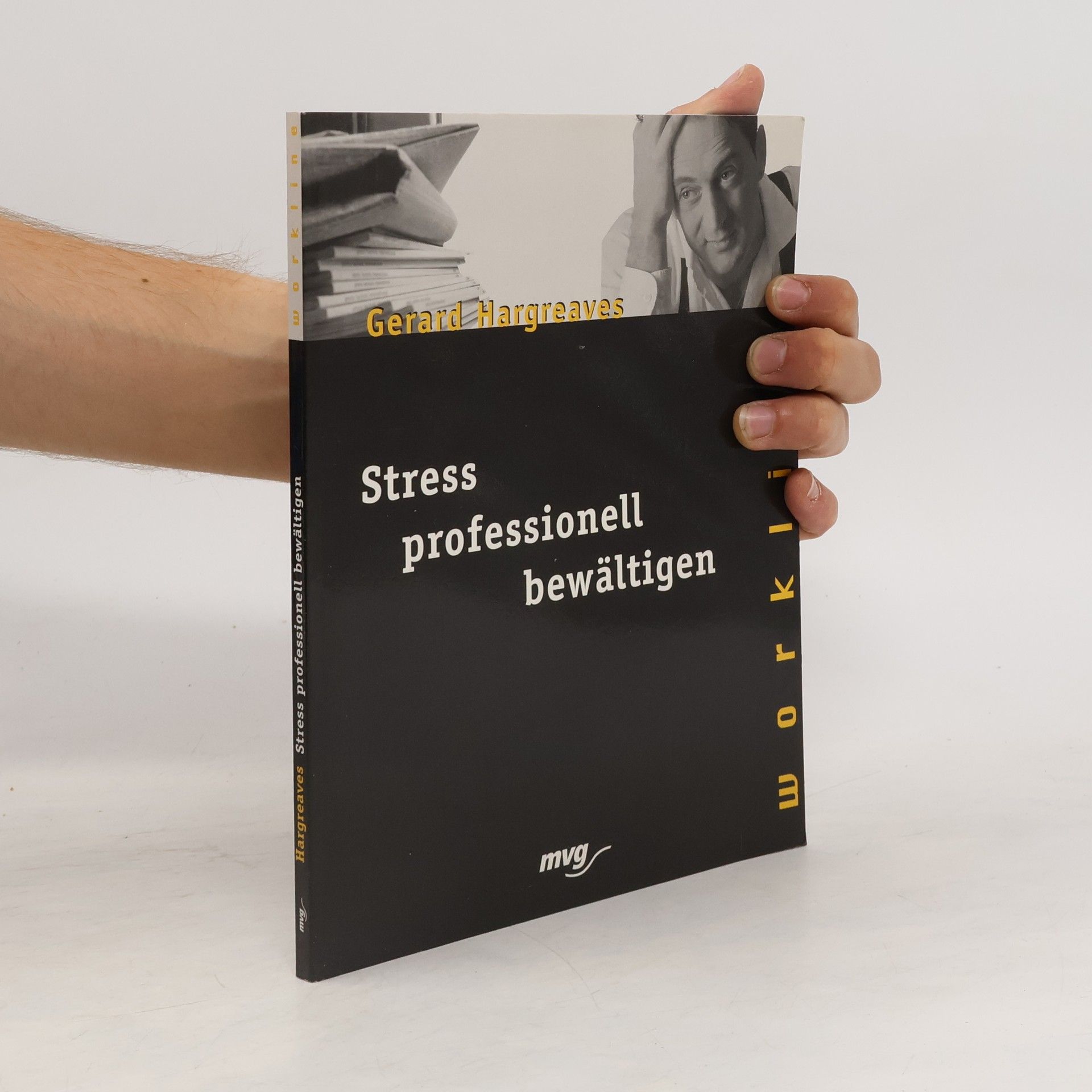 Gerard Hargreaves Stress professionell bewältigen