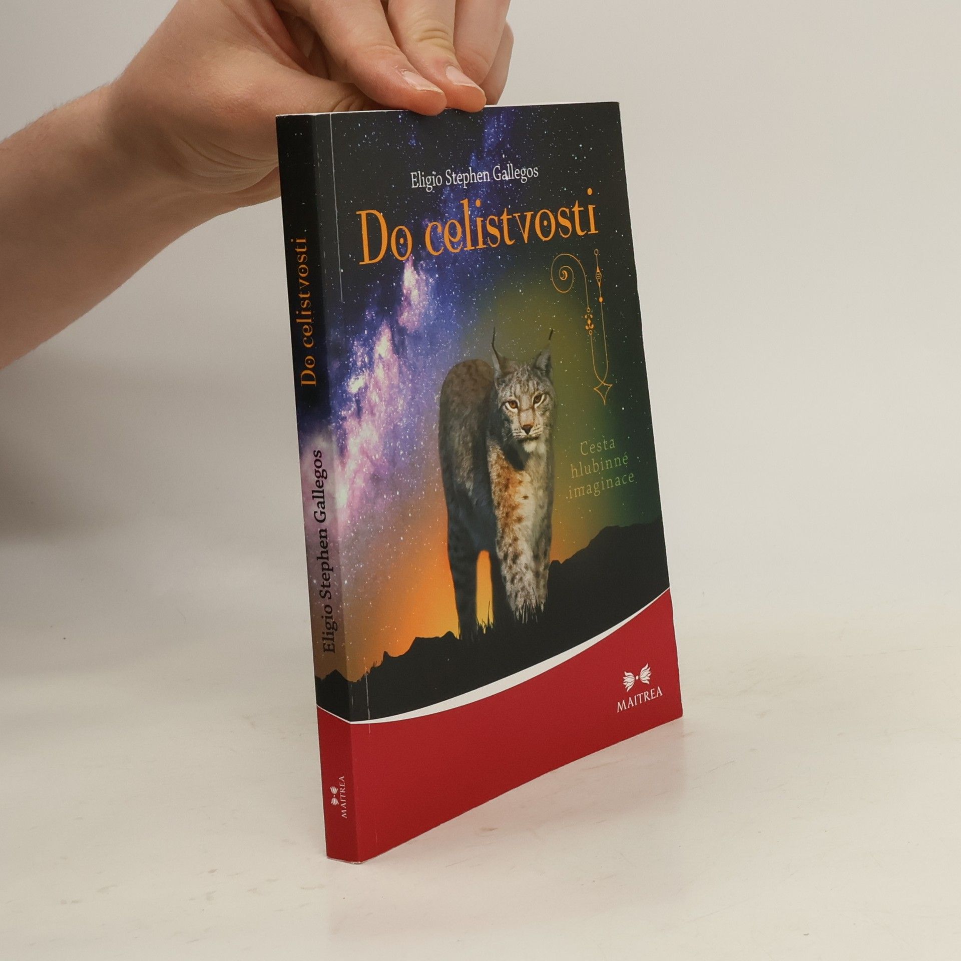Eligio Stephen Gallegos Do celistvosti: Cesta hlubinné imaginace