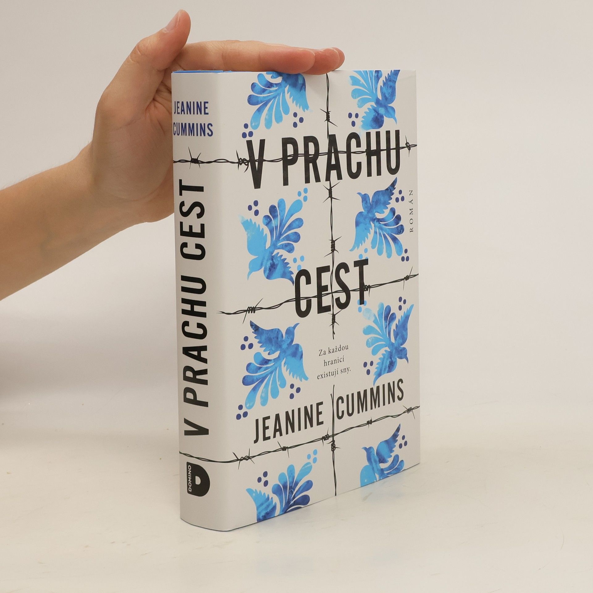 Jeanine Cummins V prachu cest