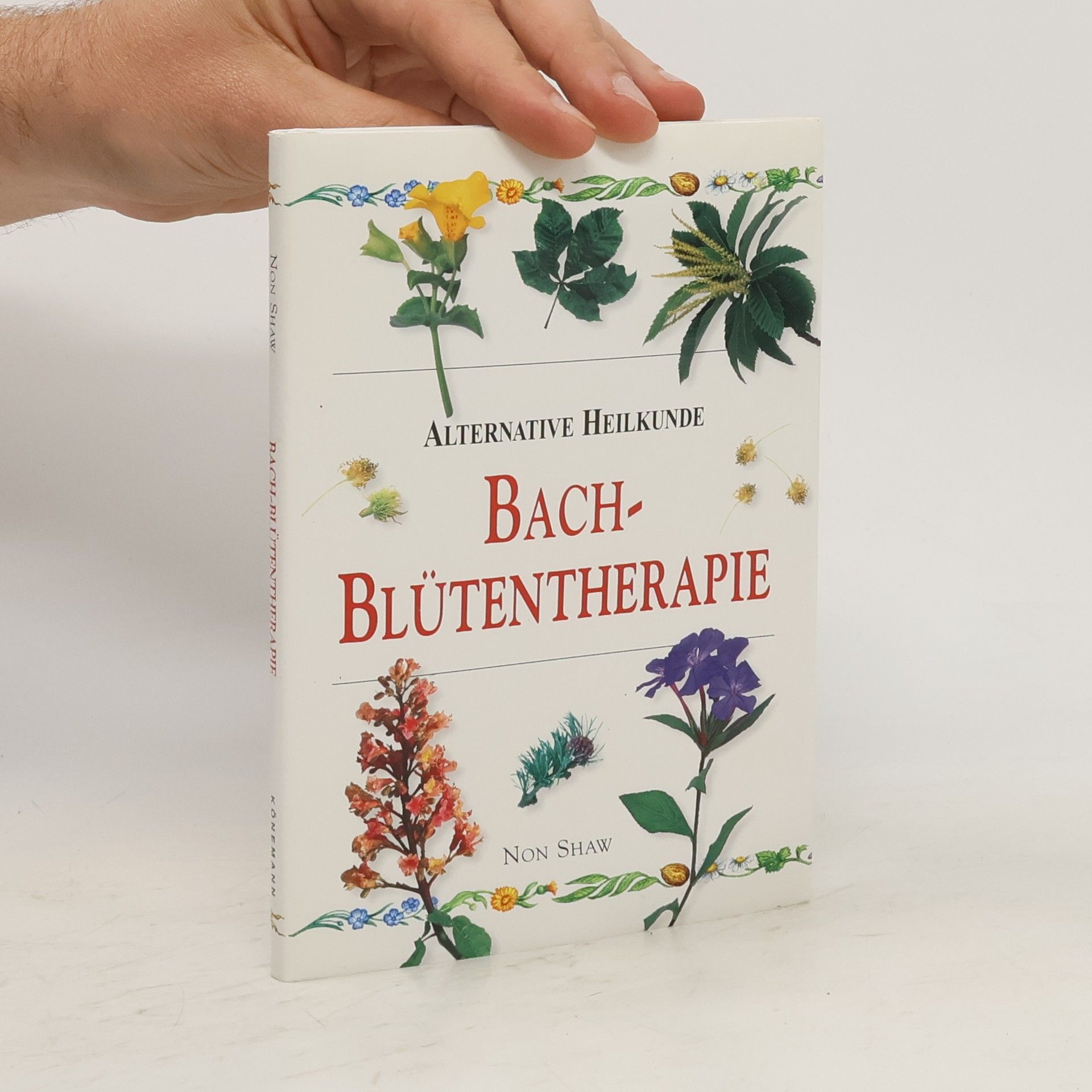 Non Shaw Bach-Blütentherapie
