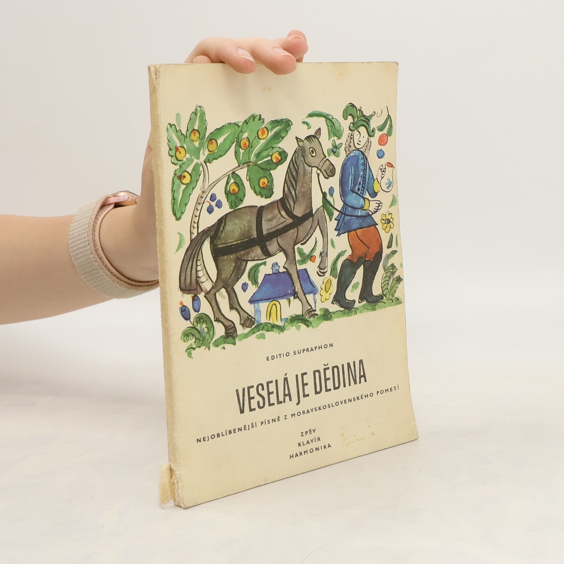 Ilja Havlíček Veselá je dědina