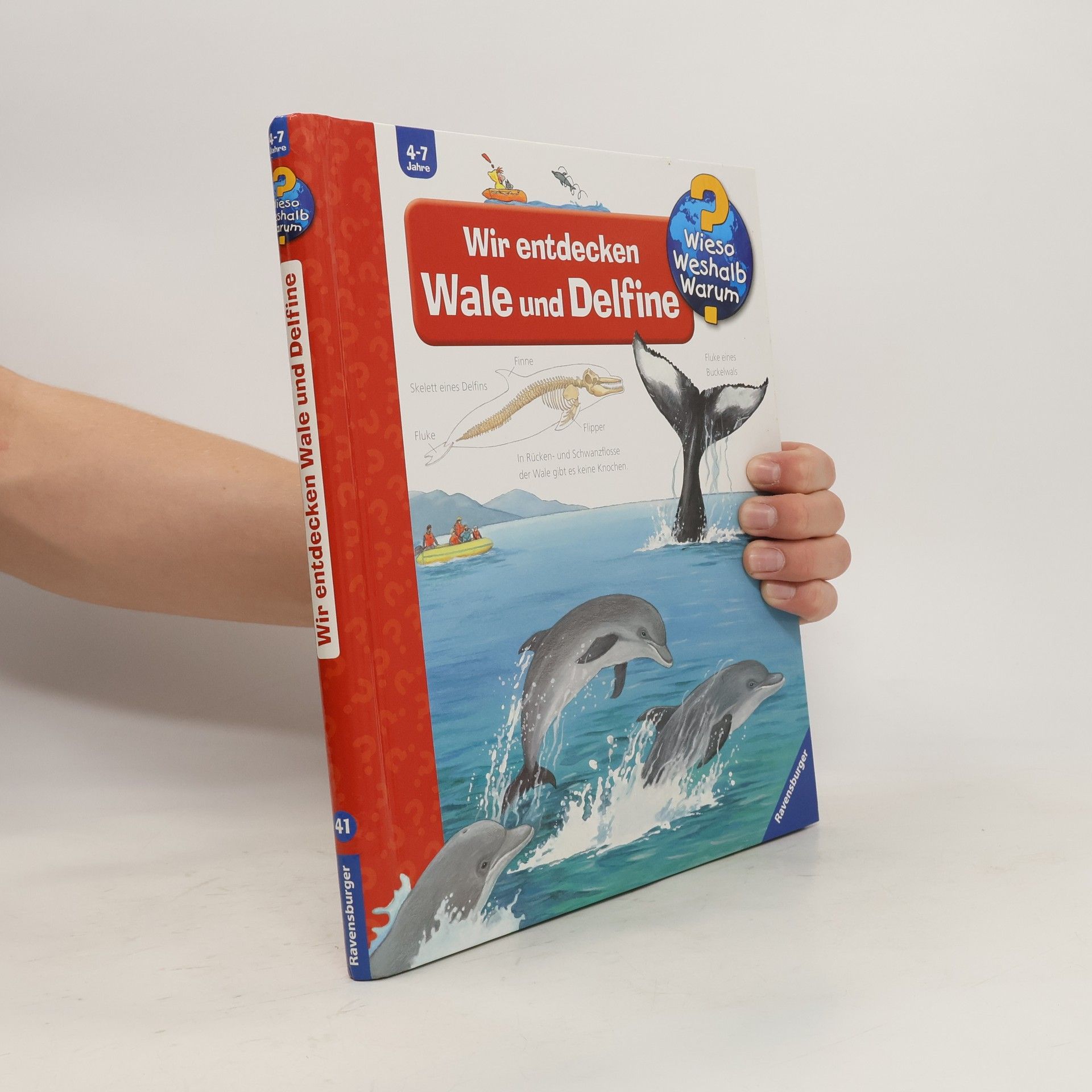 Doris Rübel Wir entdecken Wale und Delfine