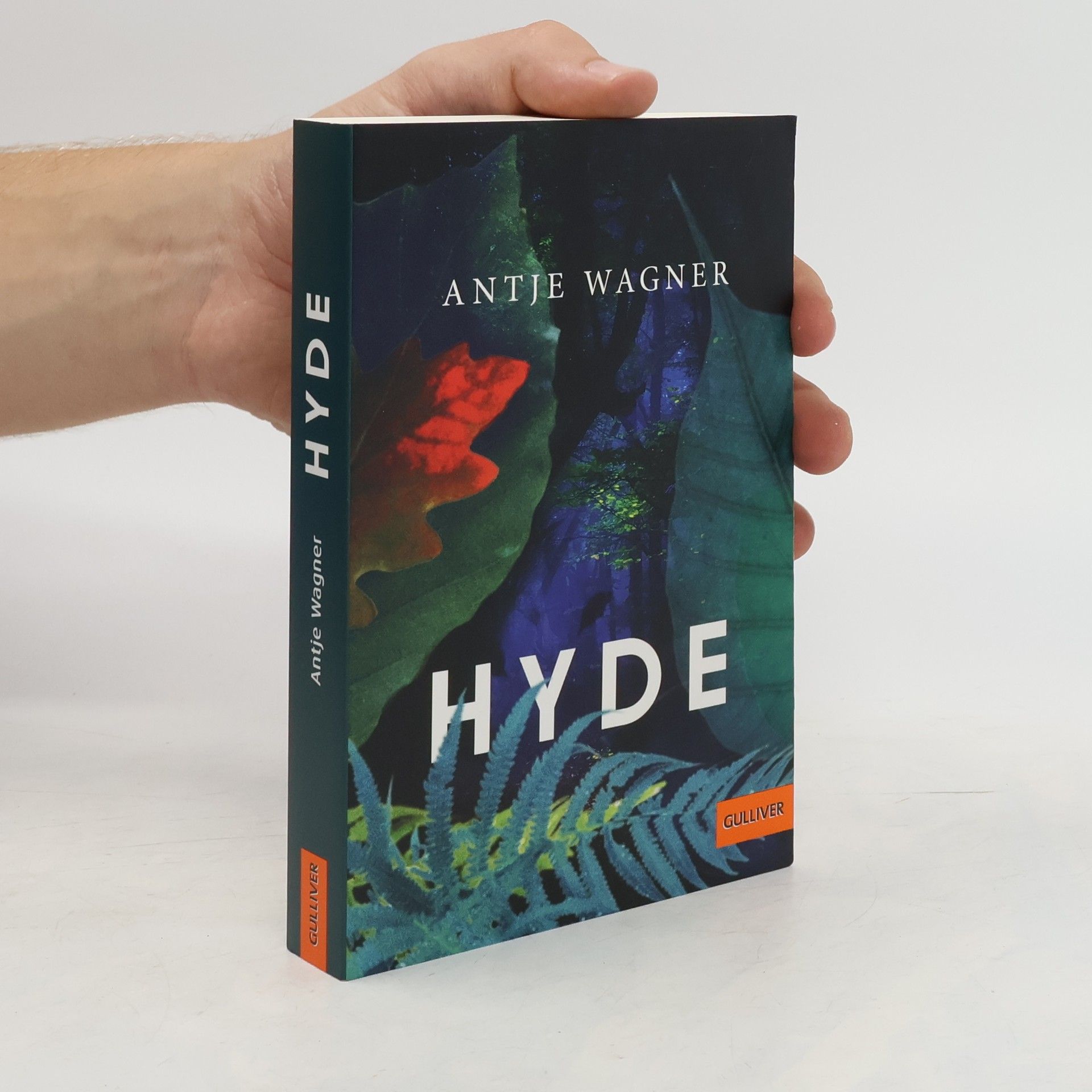Antje Wagner Hyde
