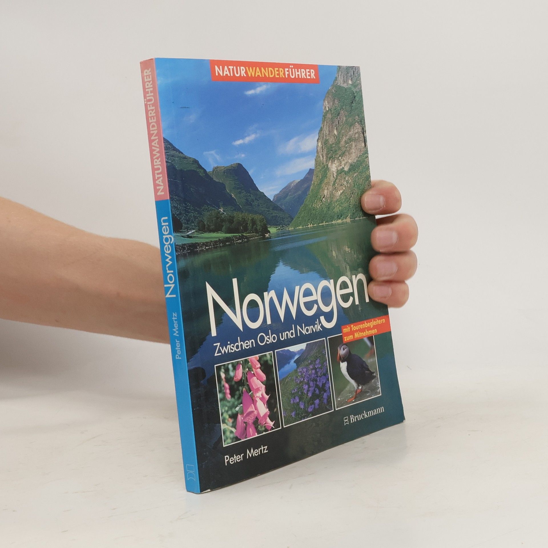 Peter Mertz Norwegen