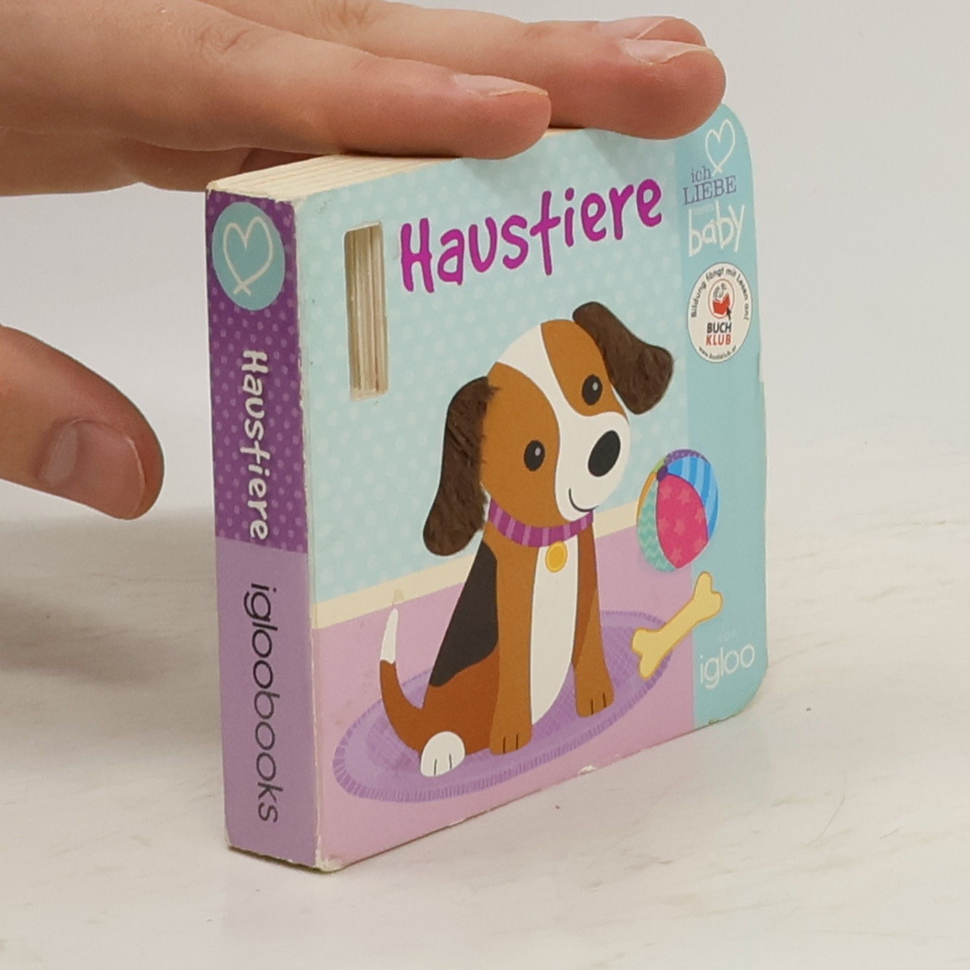 kolektiv Haustiere