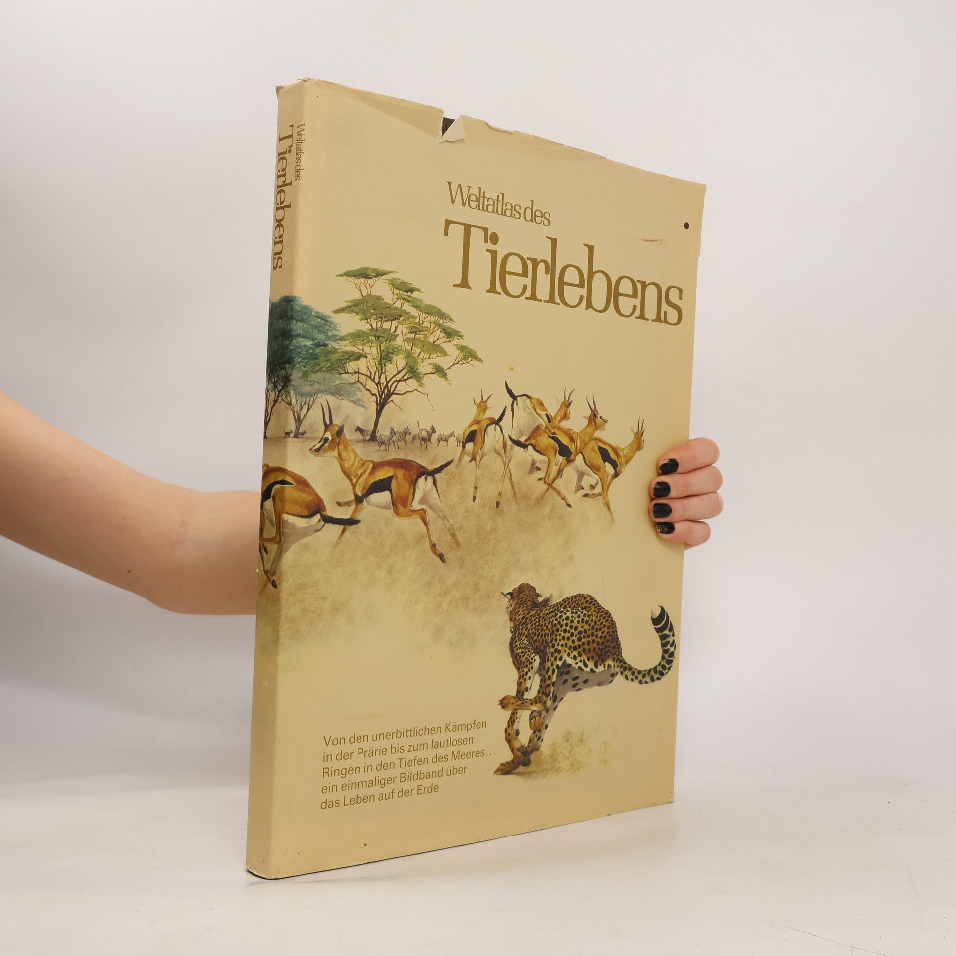 Autorenkollektiv Weltatlas des Tierlebens
