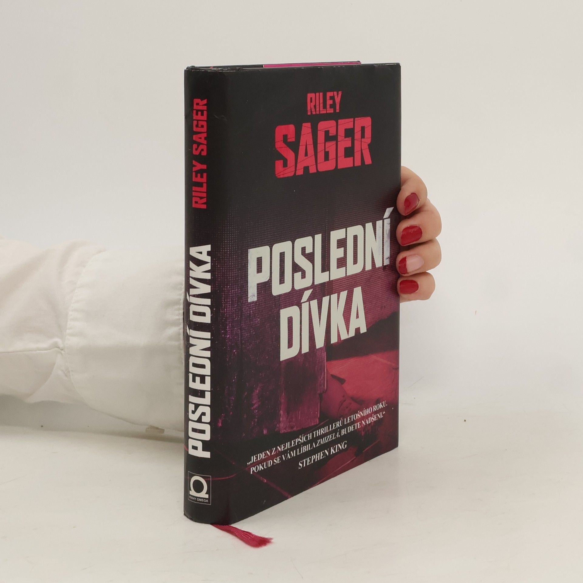 Todd Ritter Poslední dívka
