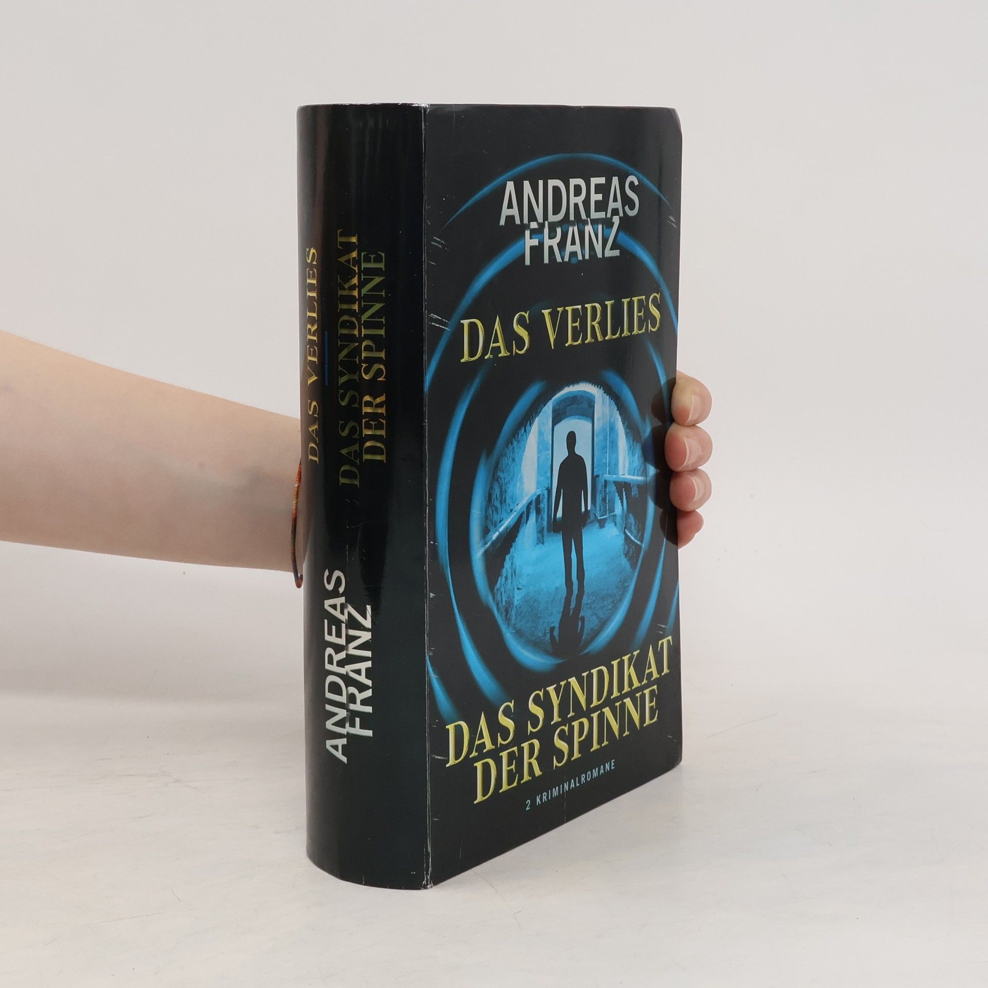 Andreas Franz Das Verlies. Das Syndikat der Spinne