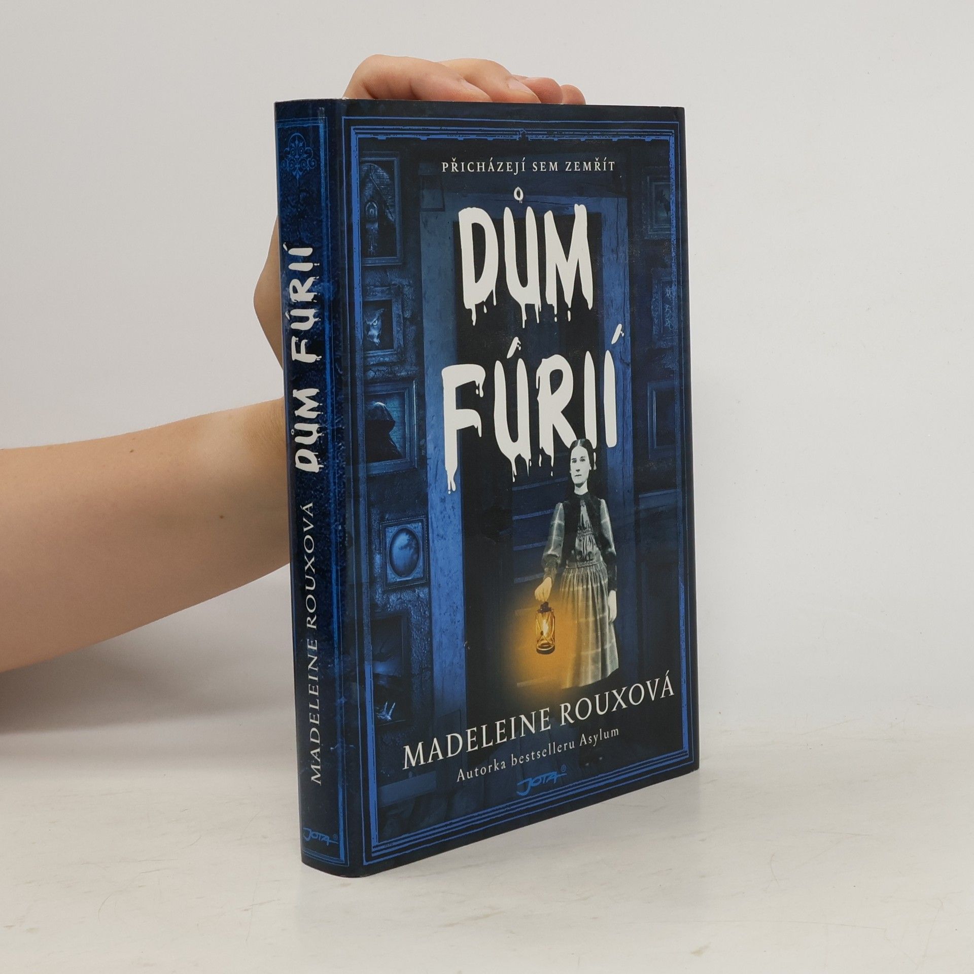 Madeleine Roux Dům fúrií