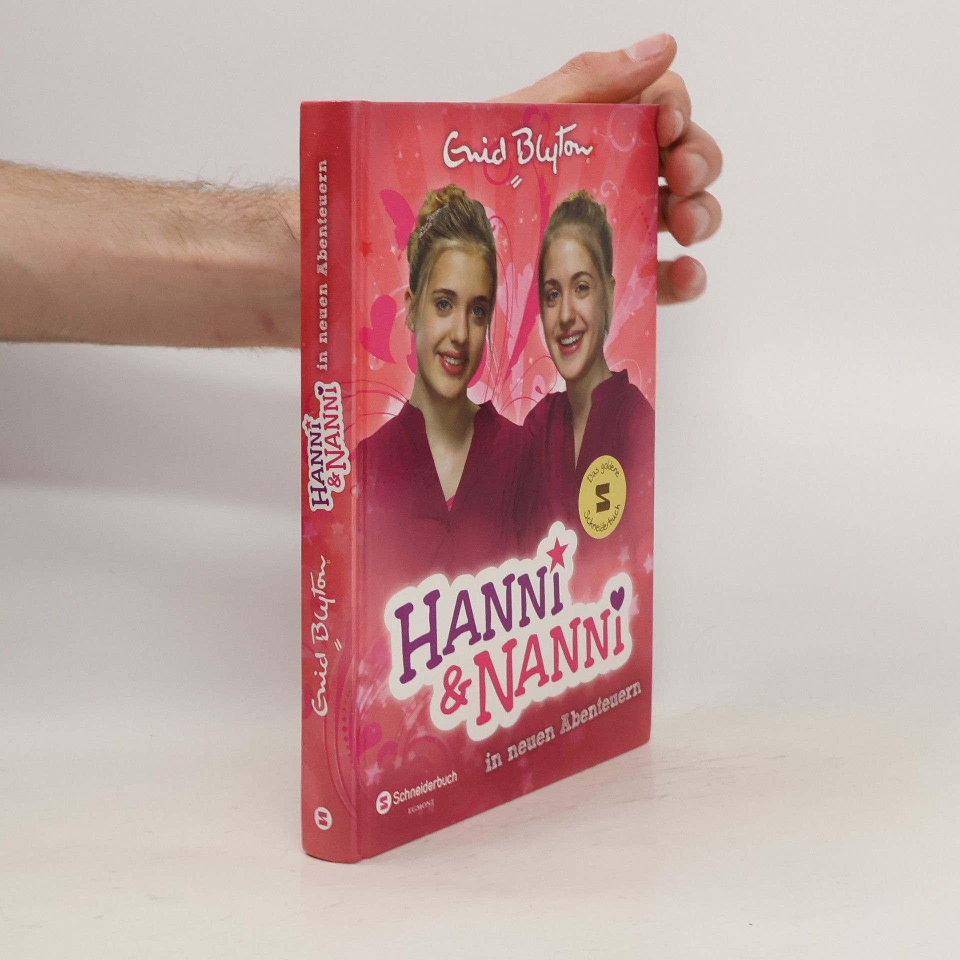 Enid Blyton Hanni & Nanni in neuen Abenteuern. Band 3