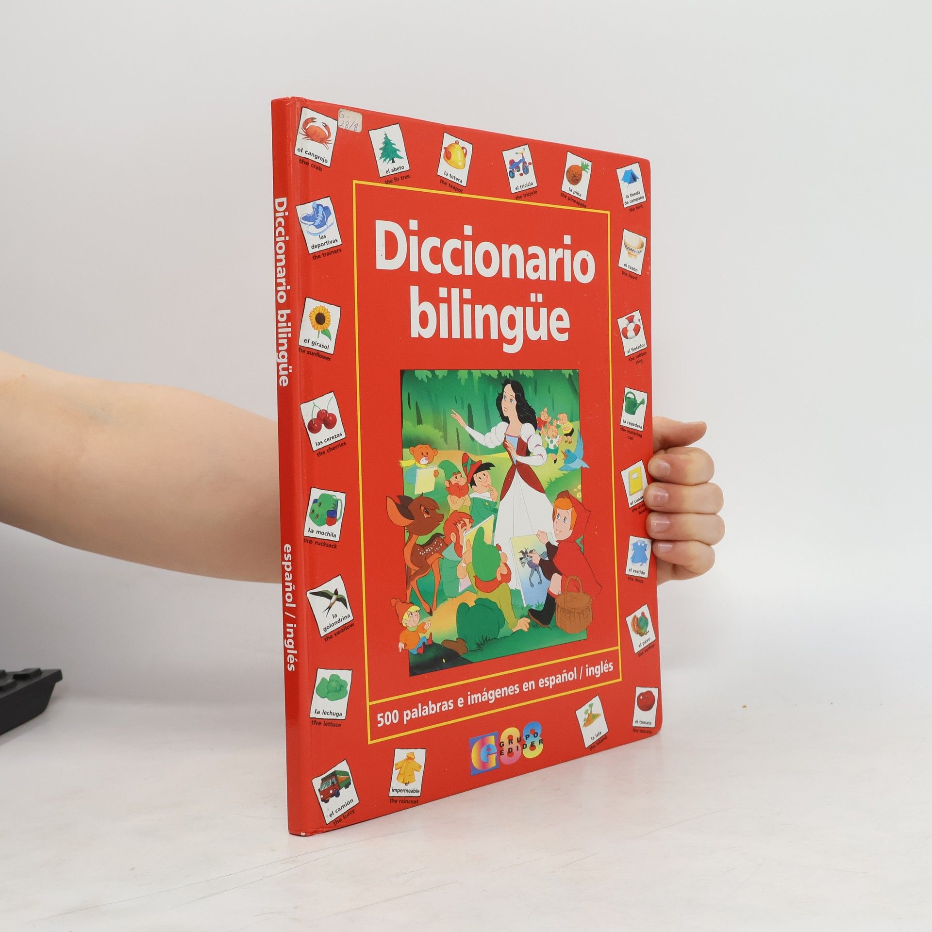 Collective Diccionario bilingüe
