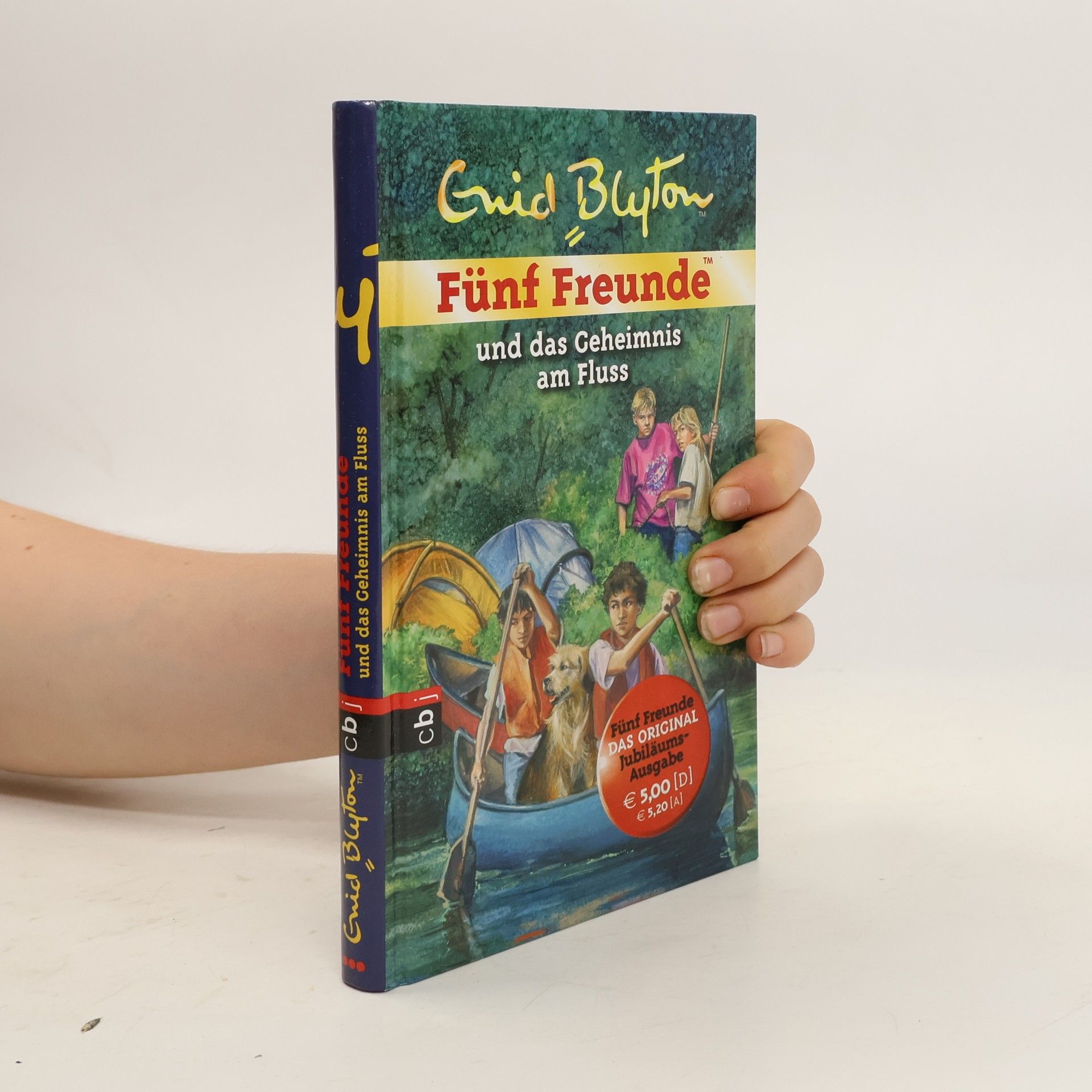 Sarah Bosse Fünf Freunde und das Geheimnis am Fluss