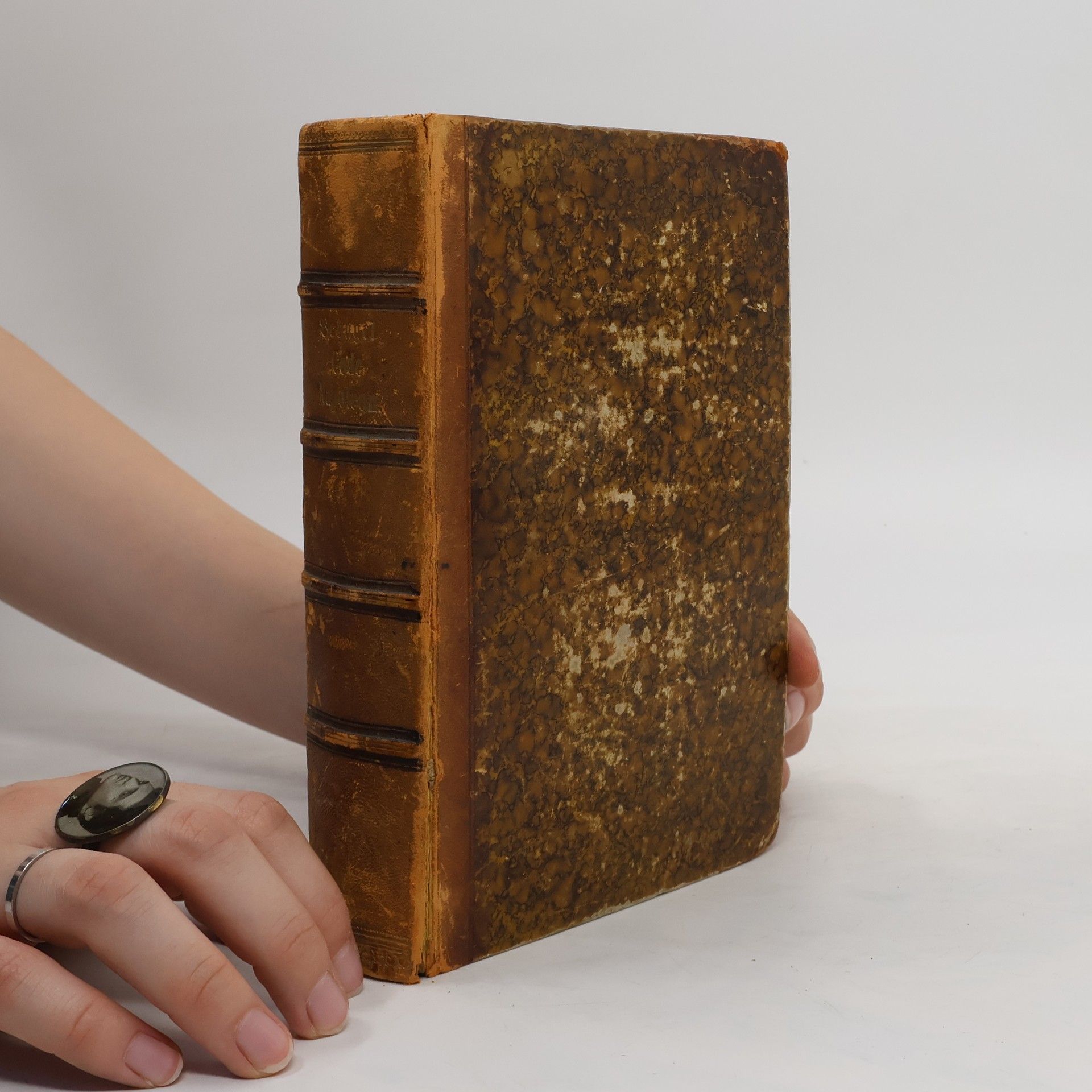 Wilhelm Behaghel Das Badische bürgerliche Recht und der Code Napoléon