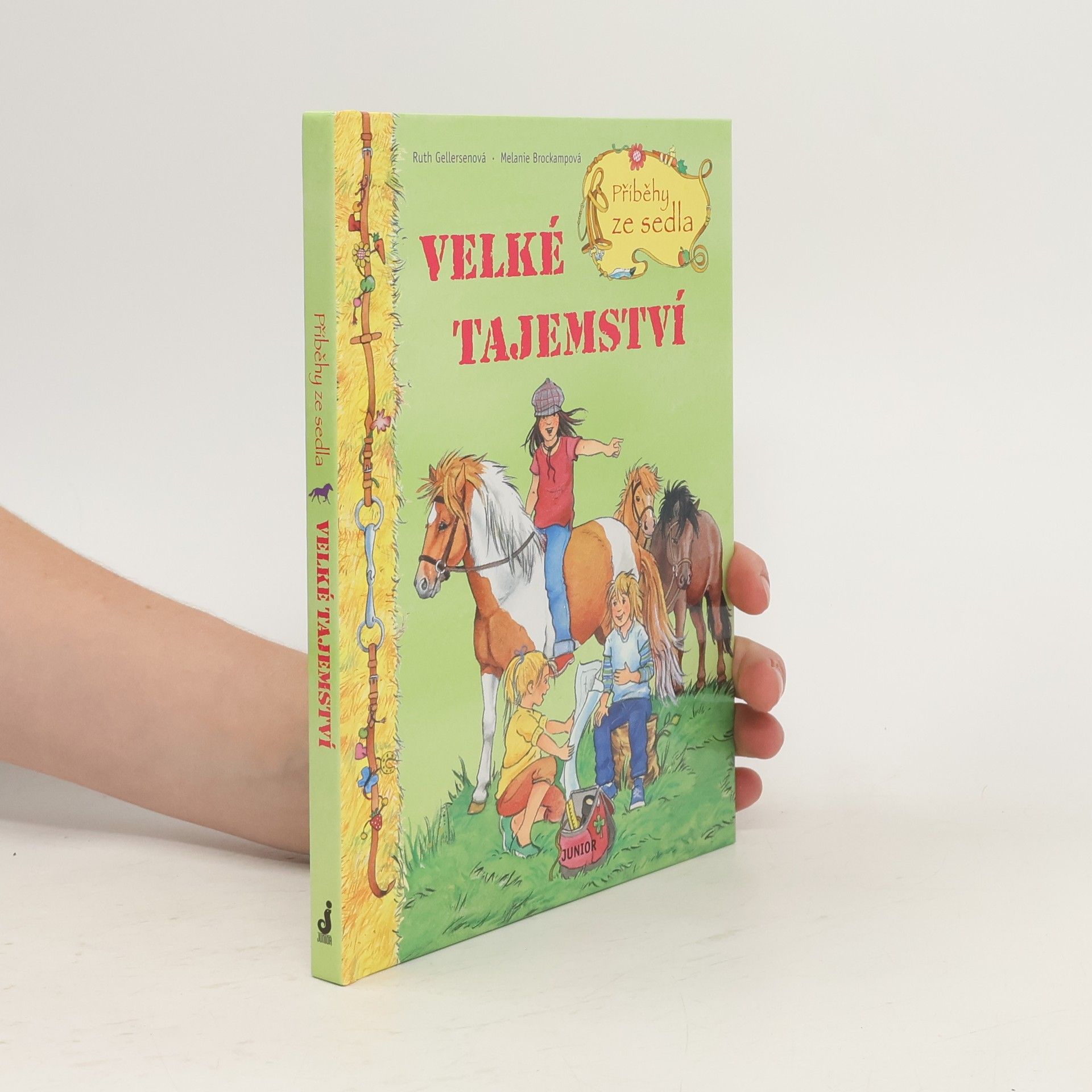 Ruth Gellersen Příběhy ze sedla. Velké tajemství