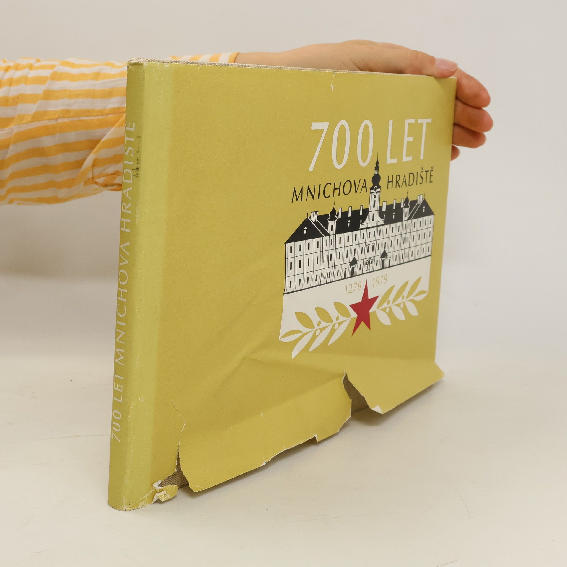 Auteurscollectief 700 let Mnichova Hradiště