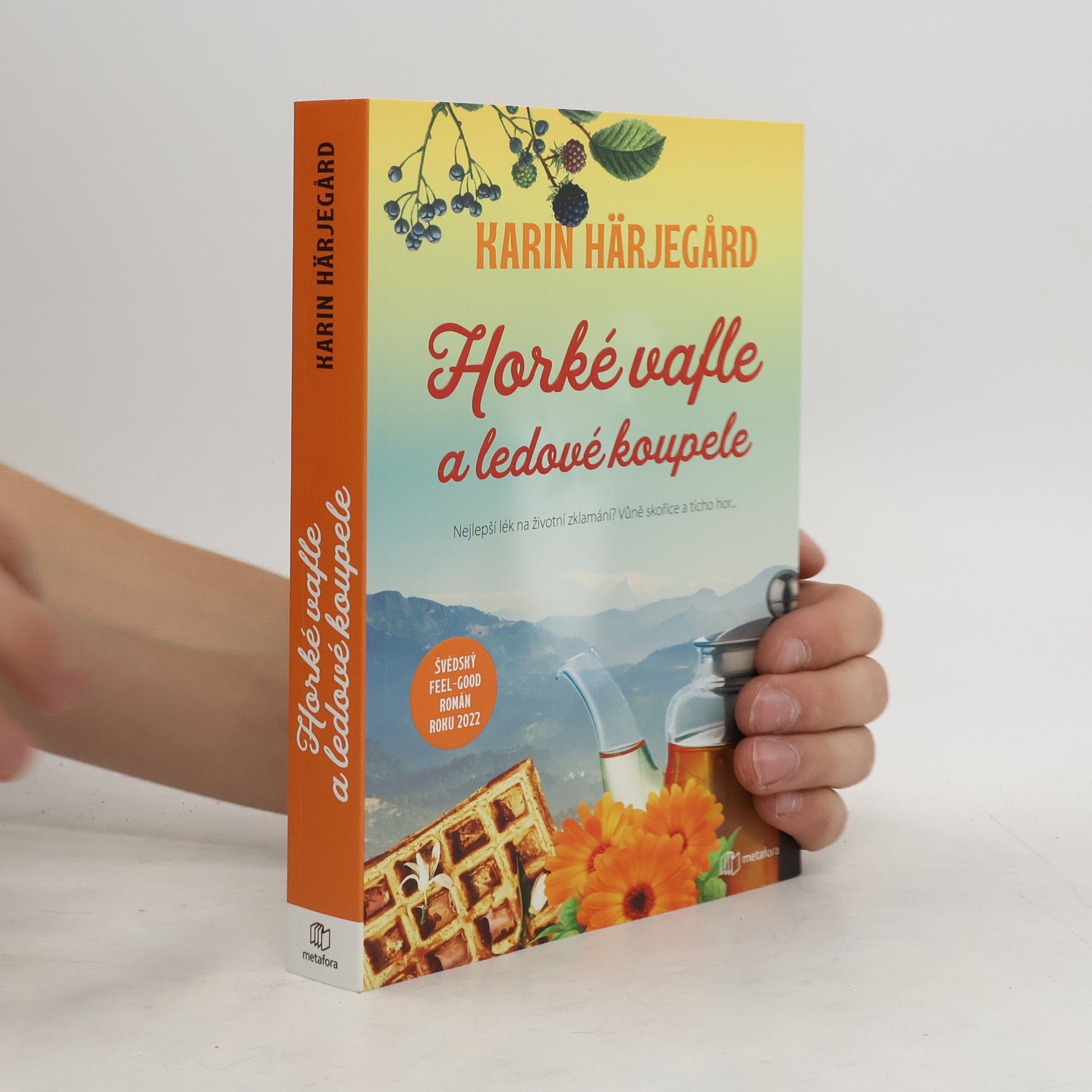 Karin Härjegård Horké vafle a ledové koupele